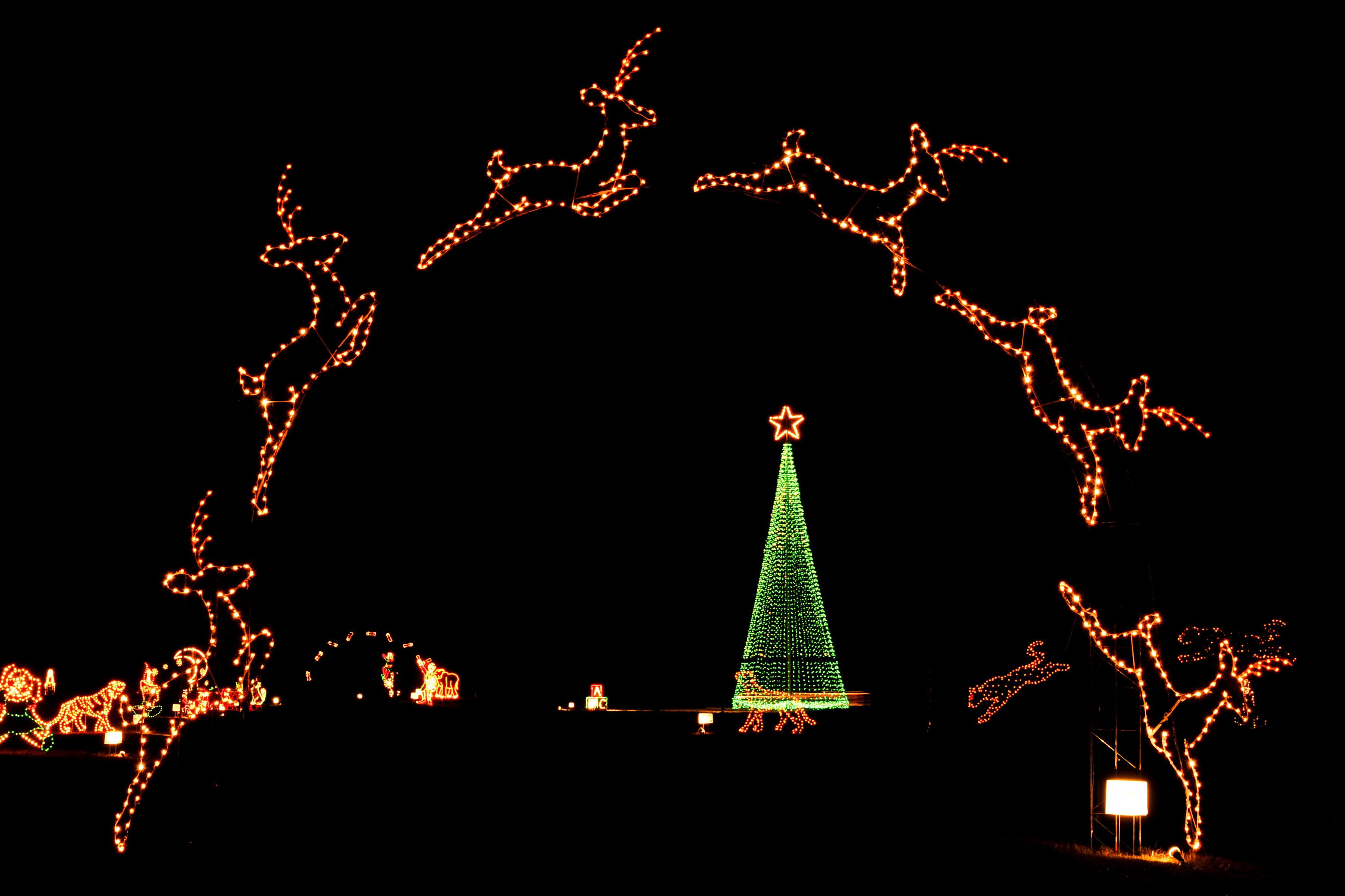 The Lower Delta Lights Up This Holiday Season