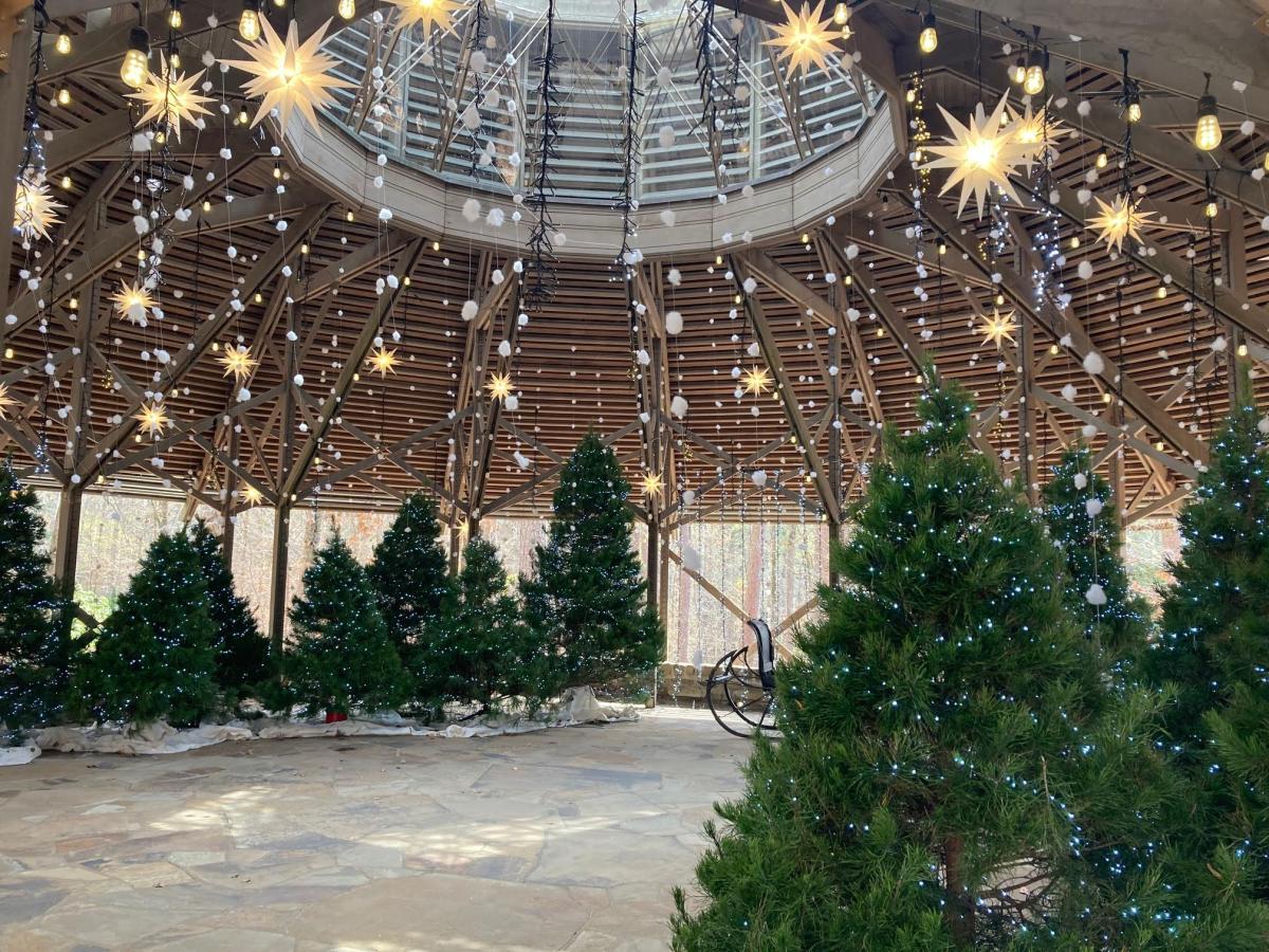 Garvan Woodland Gardens debuts new Winter Garden Festival
