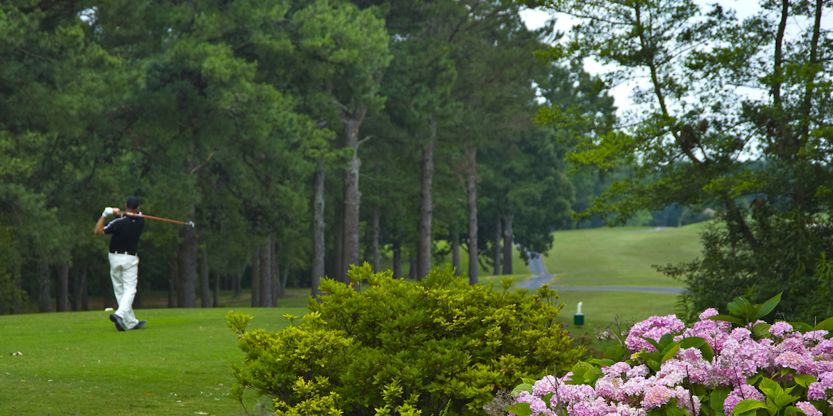 Golf Courses of Arkansas