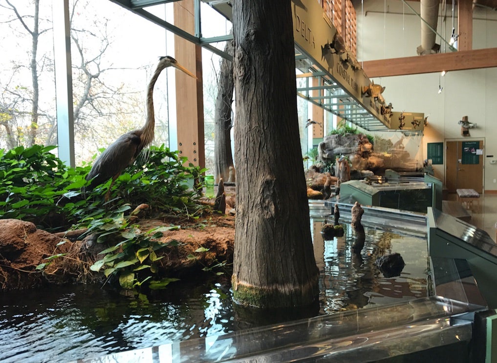 Nature Center in Little Rock