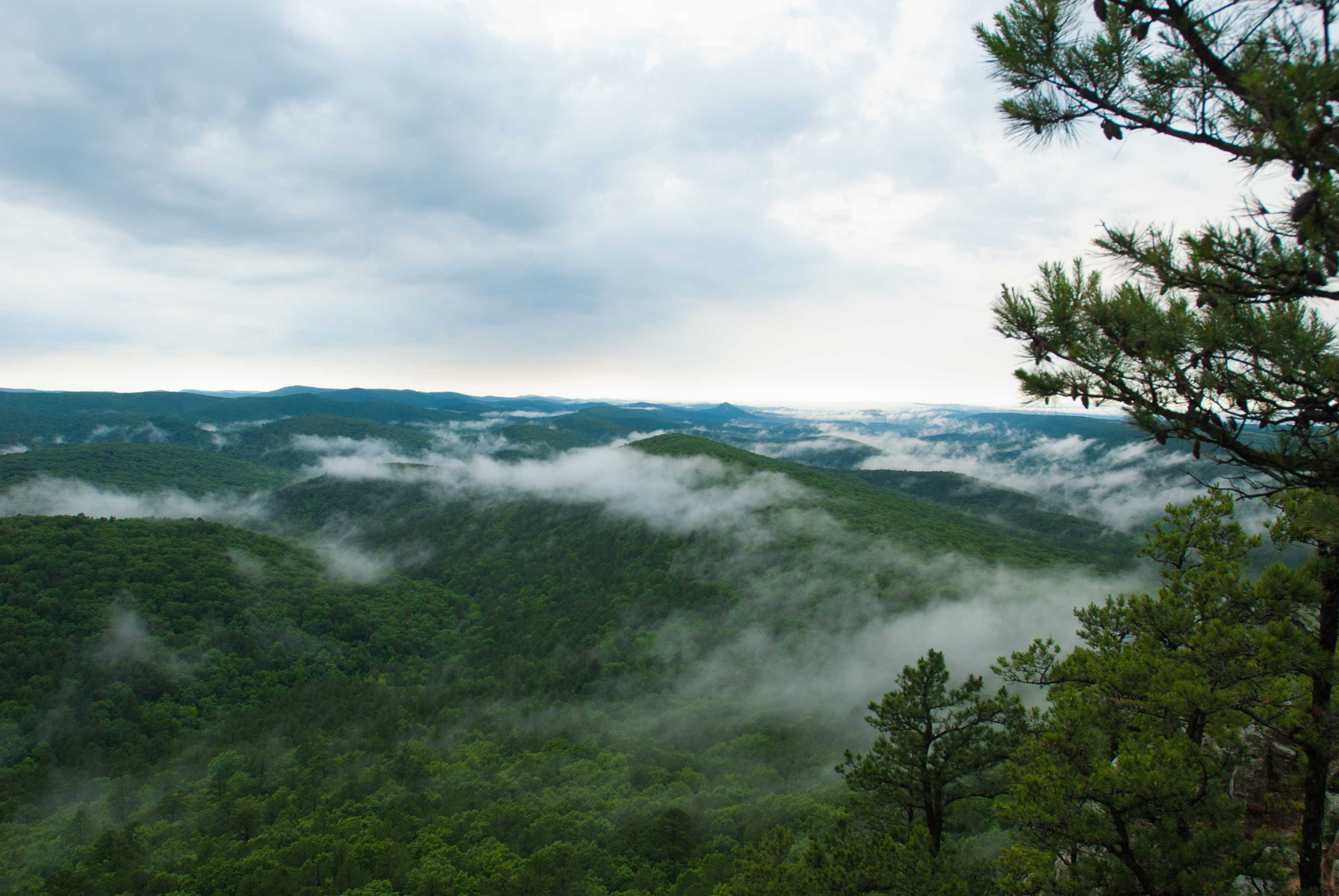 Ouachita Mountains