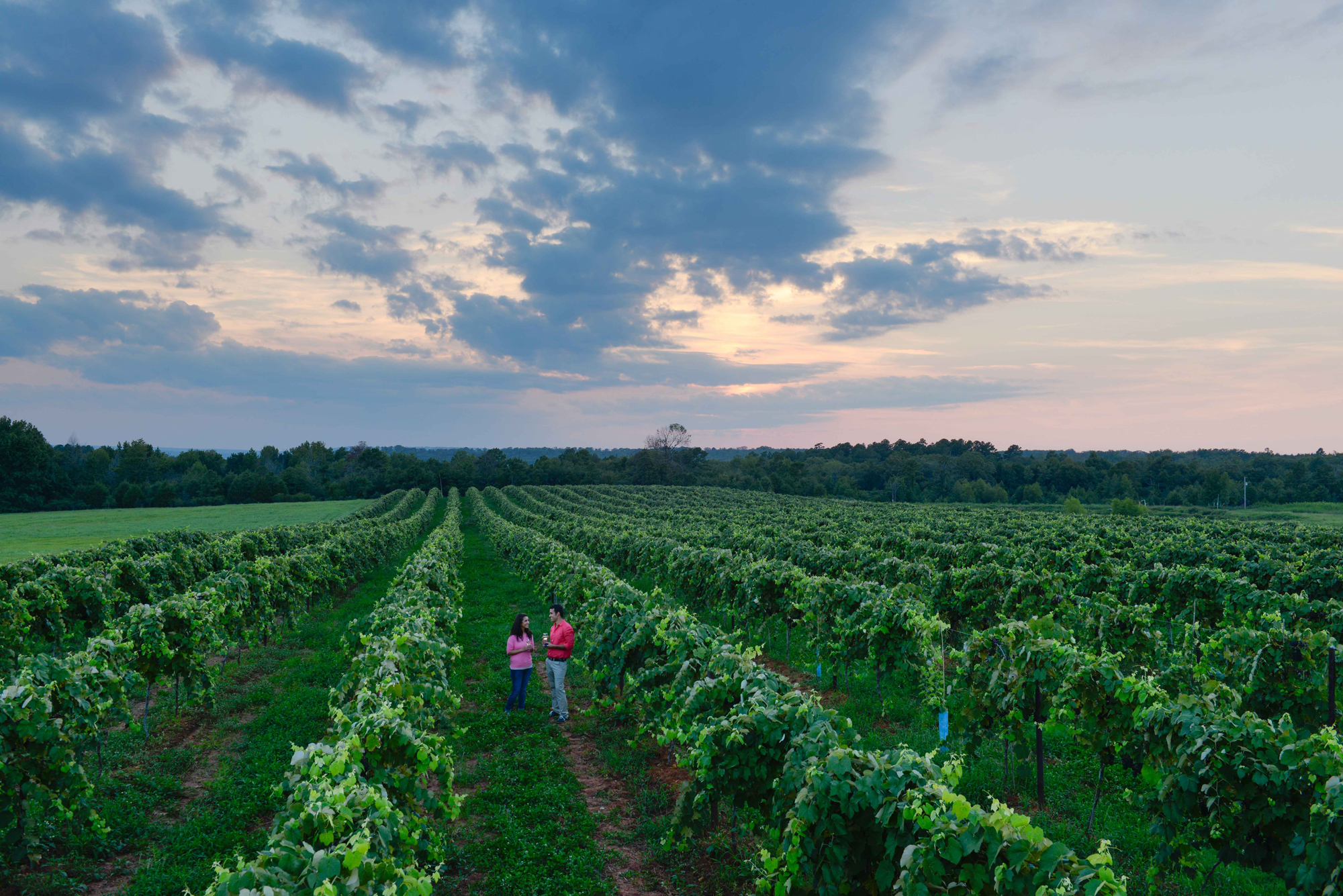Post Familie Vineyards