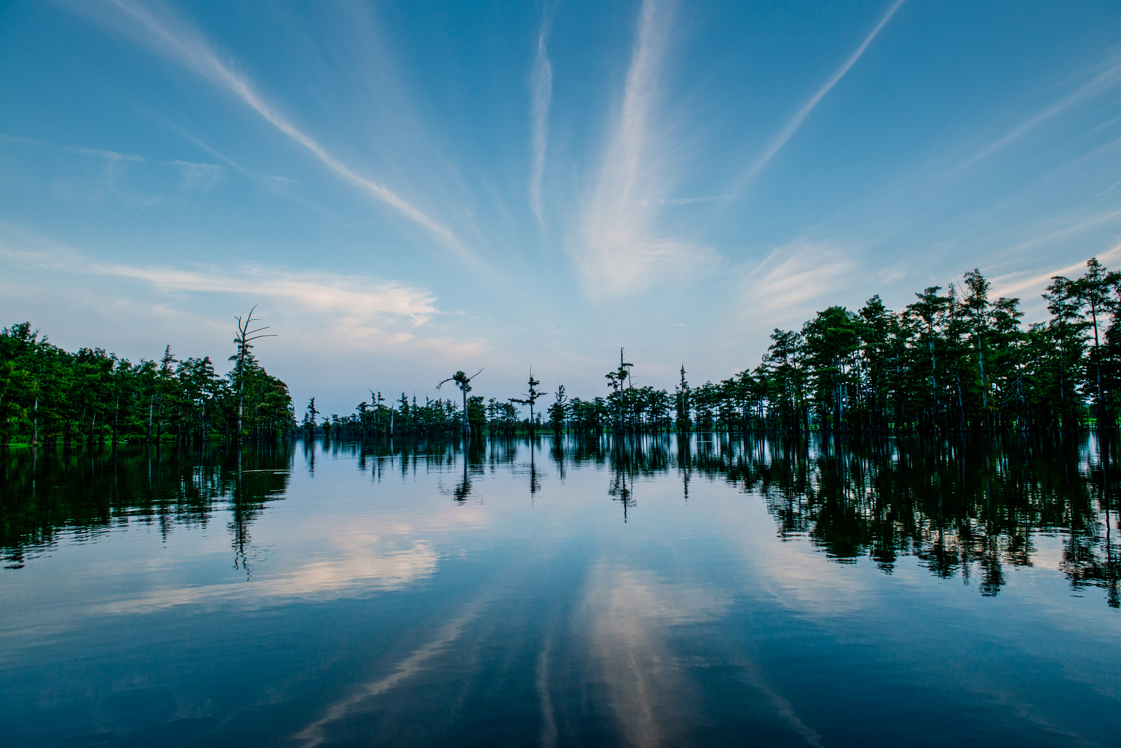 Felsenthal National Wildlife Refuge