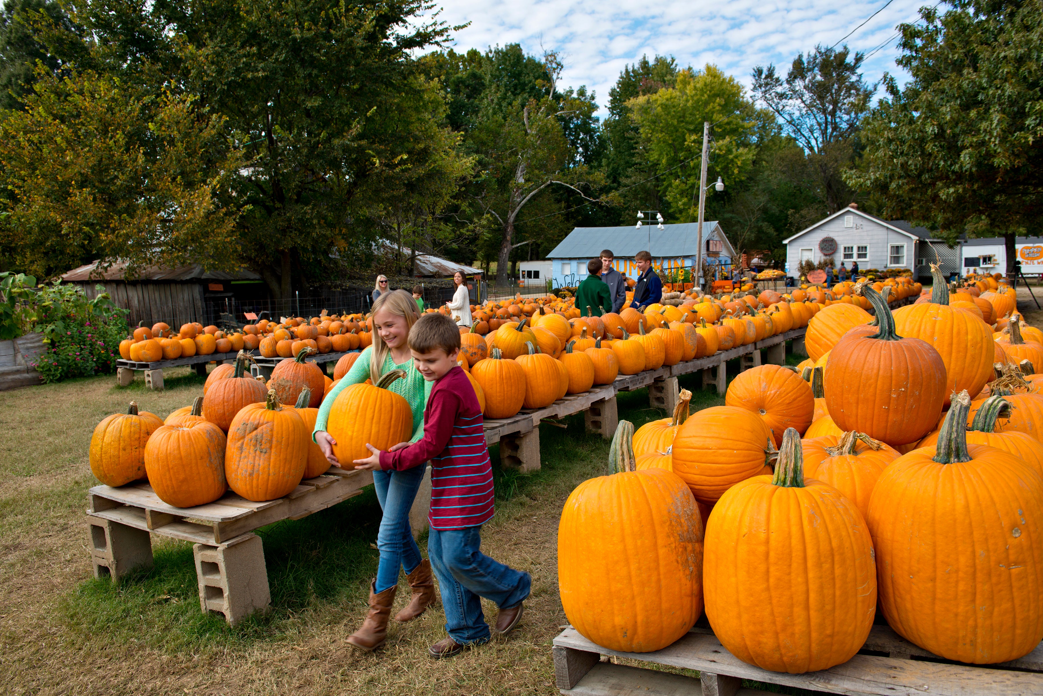Pumpkin Hollow offers fun for all ages