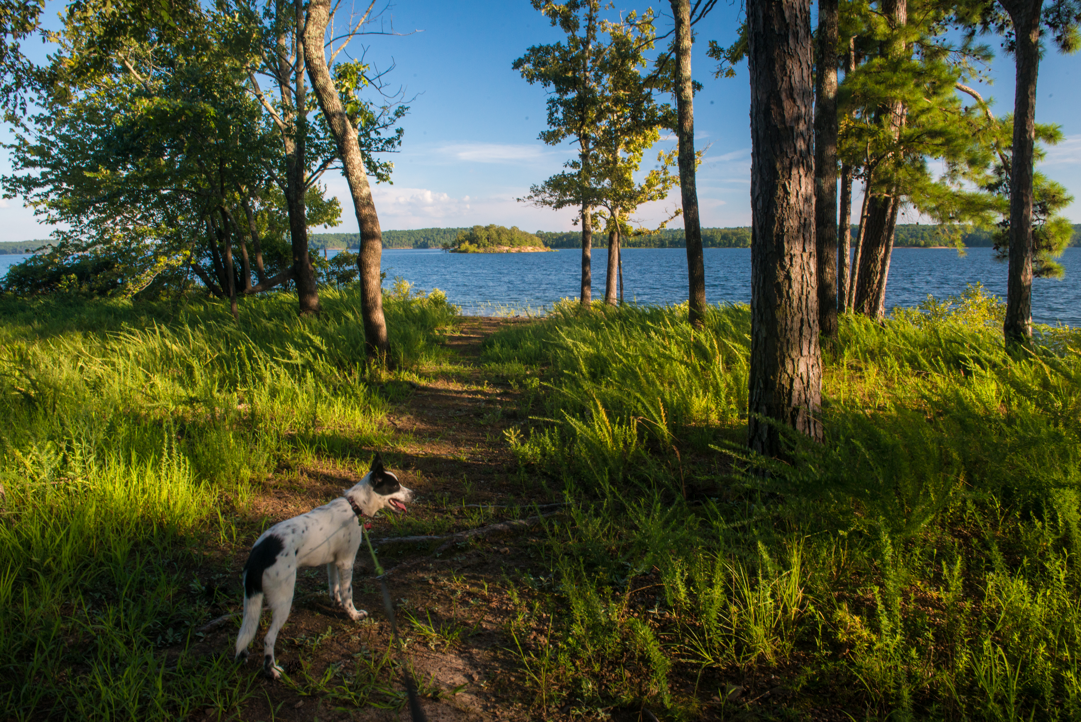 DeGray Lake Resort State Park