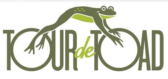 Tour de Toad 