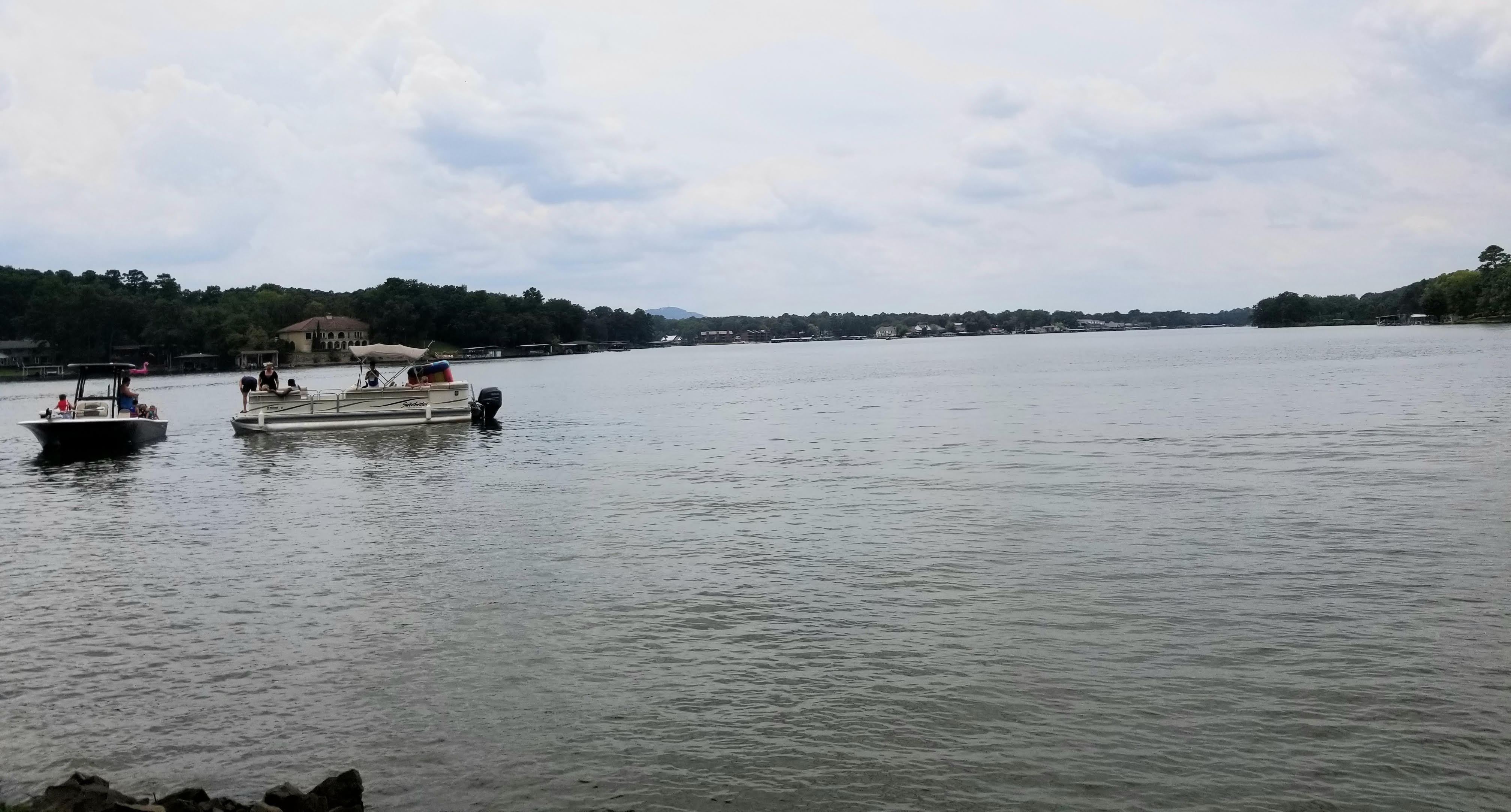 Spotlight on Lake Hamilton
