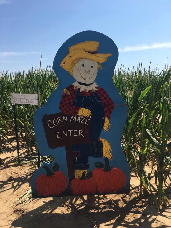 Peebles Farm and Corn Maze