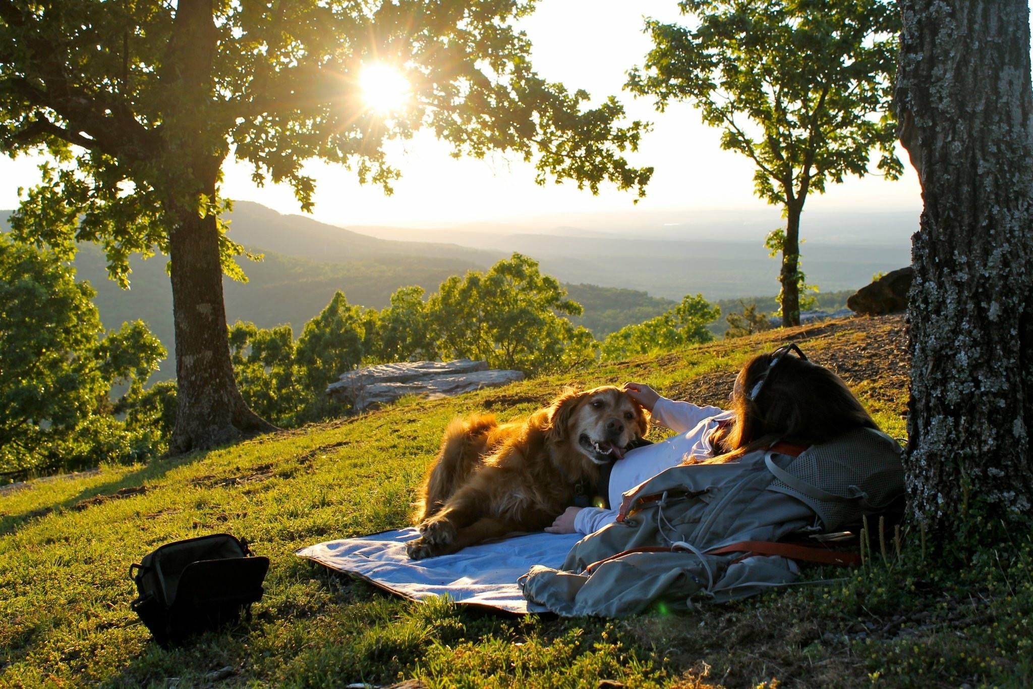 Relaxing with your dog at sunset