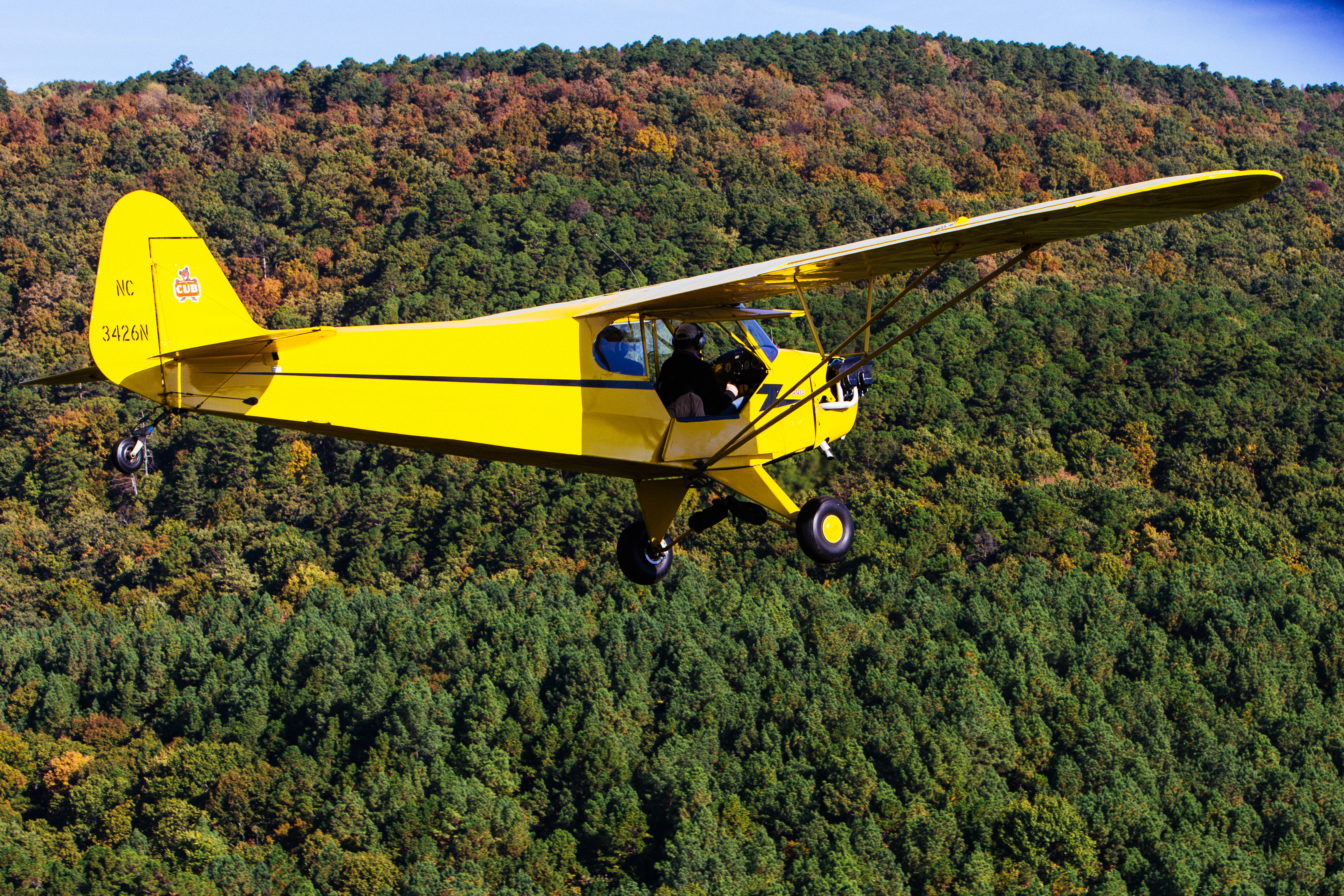 Backcountry Aviation in Arkansas (photos by Carl Zoch)