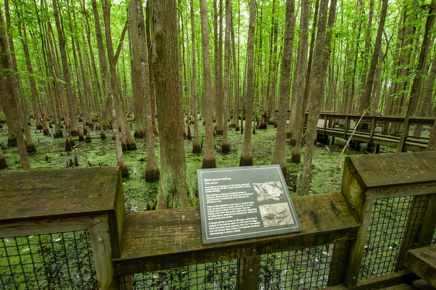 Louisiana Purchase Historic State Park.