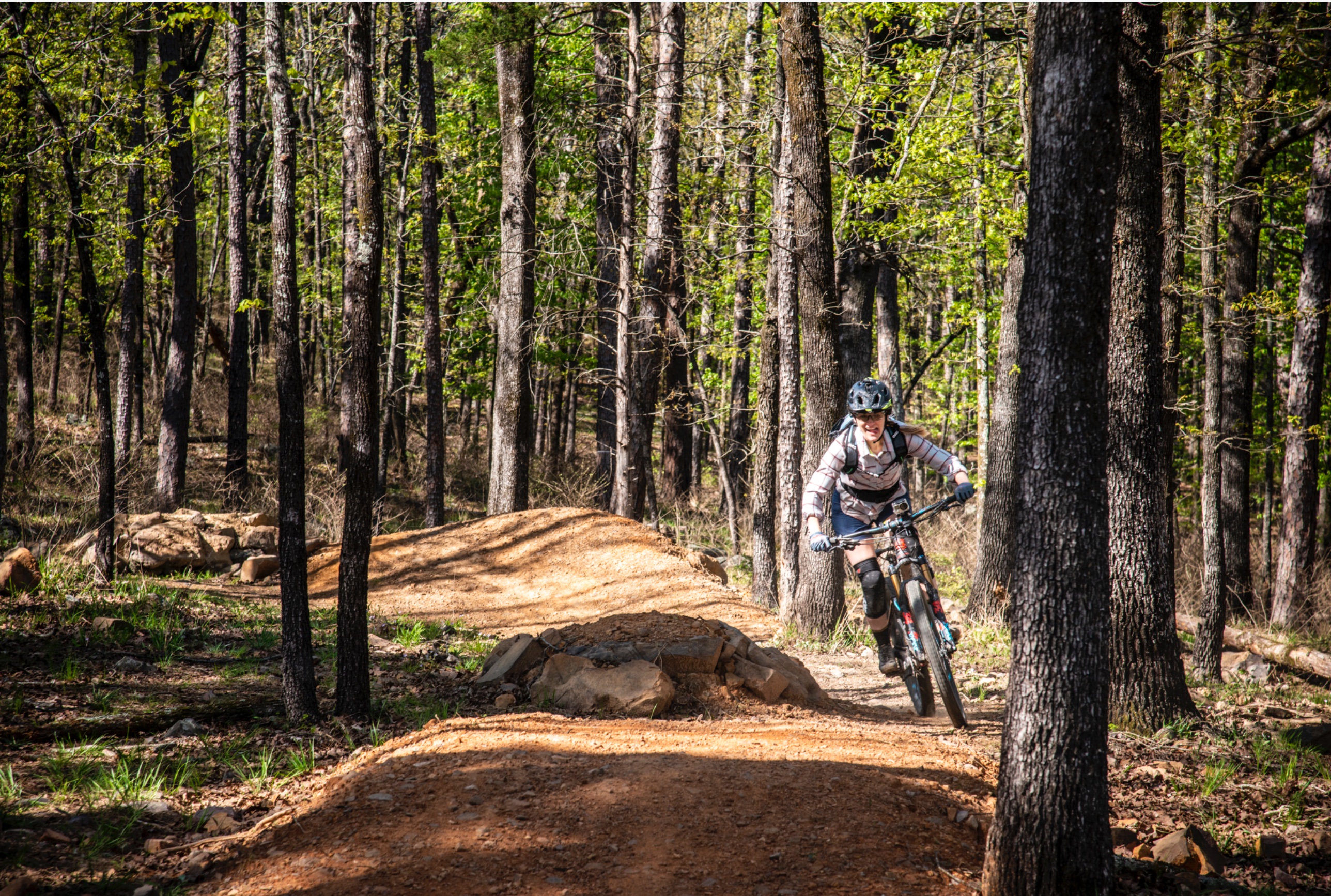 Monument Trails at Pinnacle Mountain State Park. 