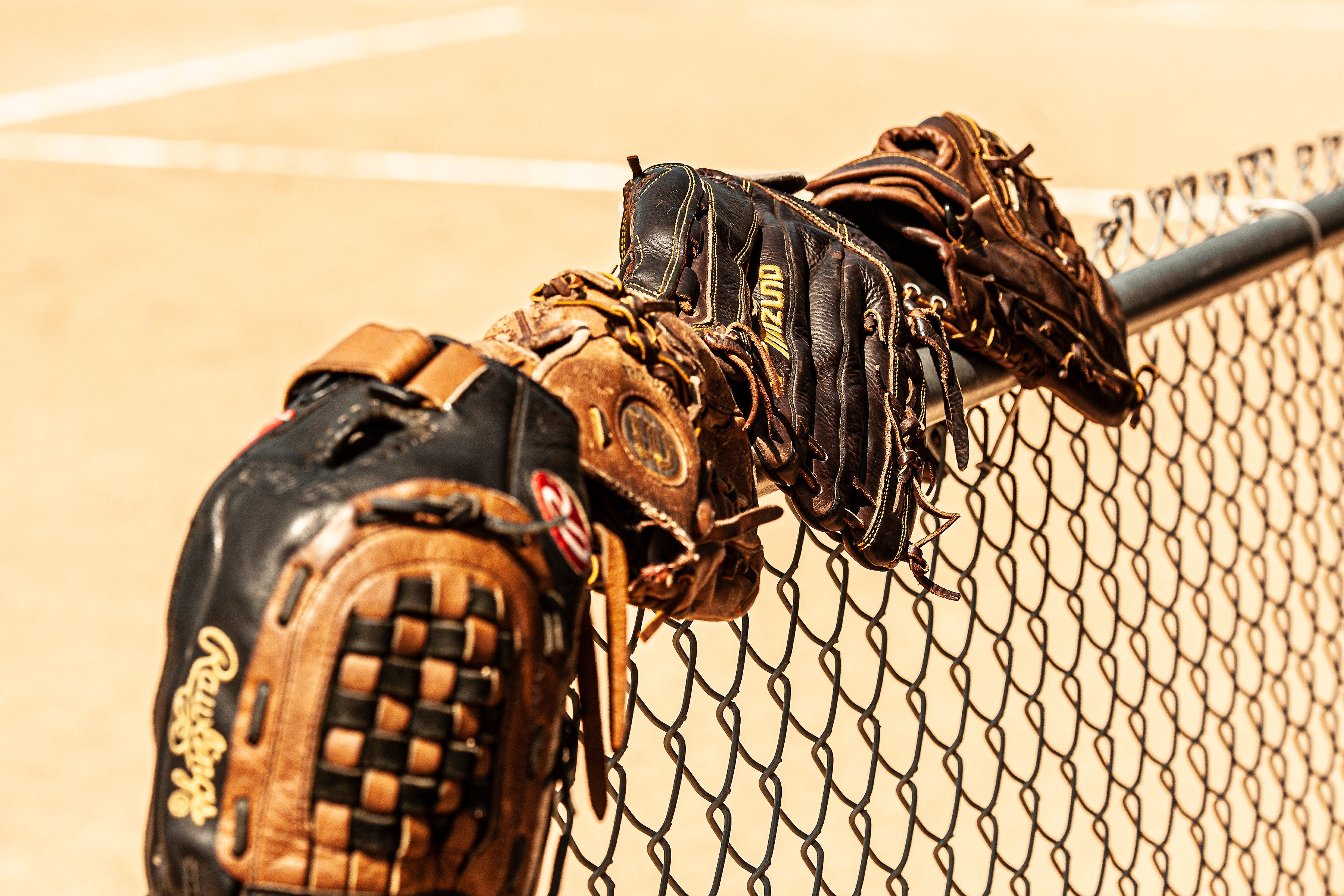 Baseball mitts lined along a fence