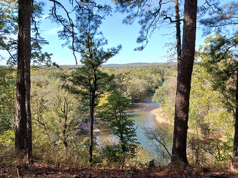 Goat's Beard Bluff Natural Area. Photo care of Arkansas Natural Heritage Commission.