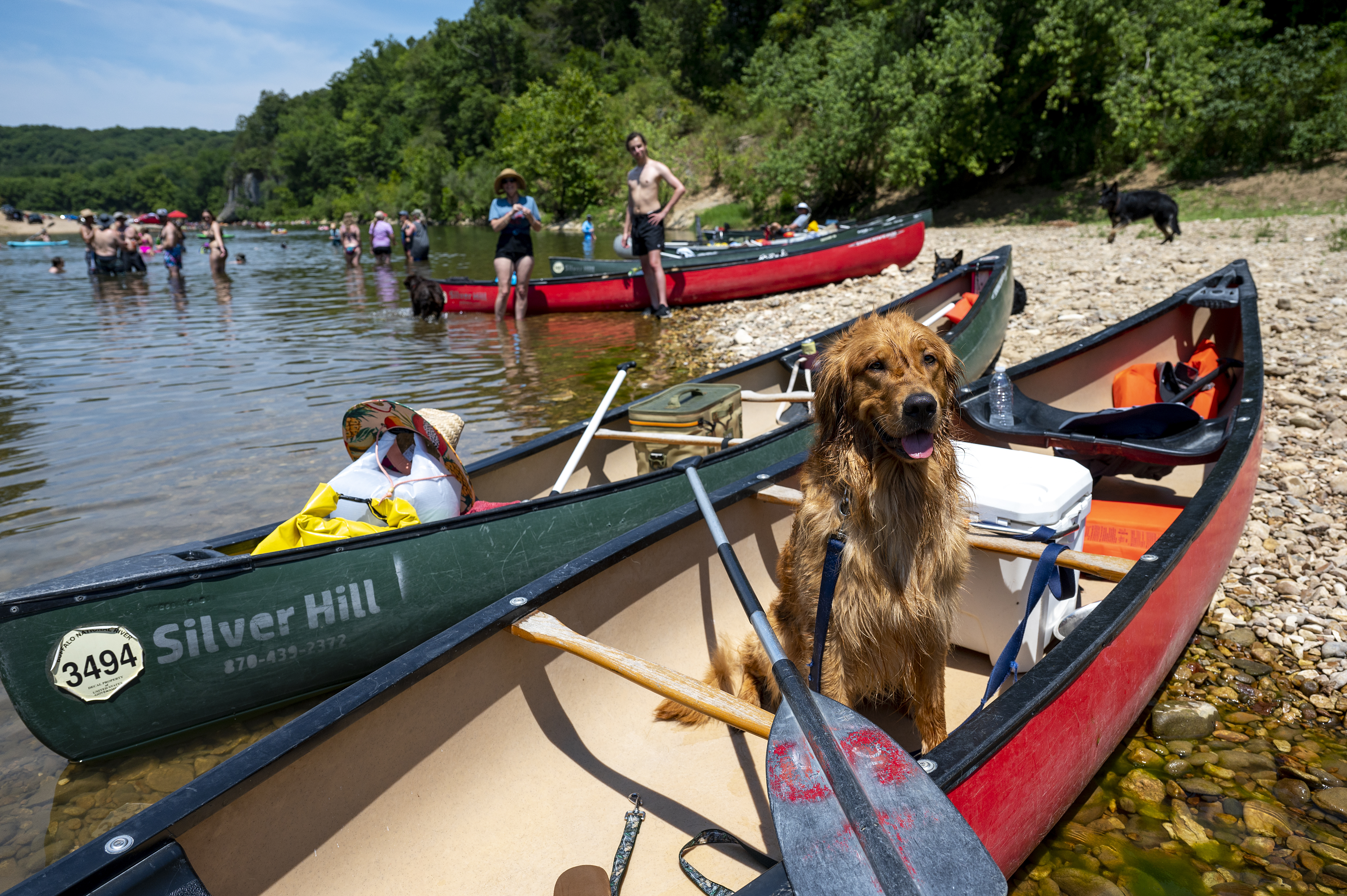 Boatin and Floatin Pup Decal