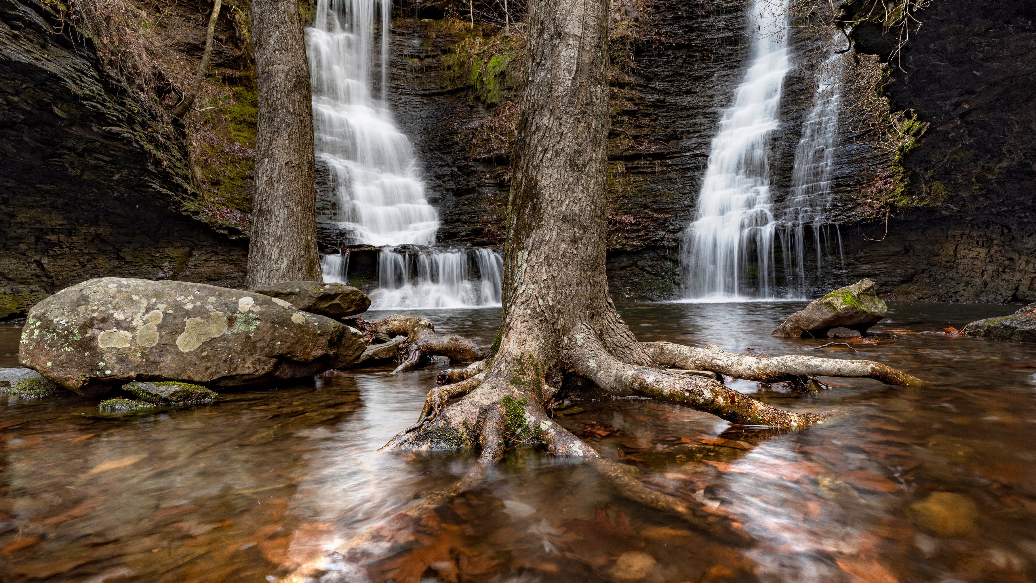Wildman Twin Falls 