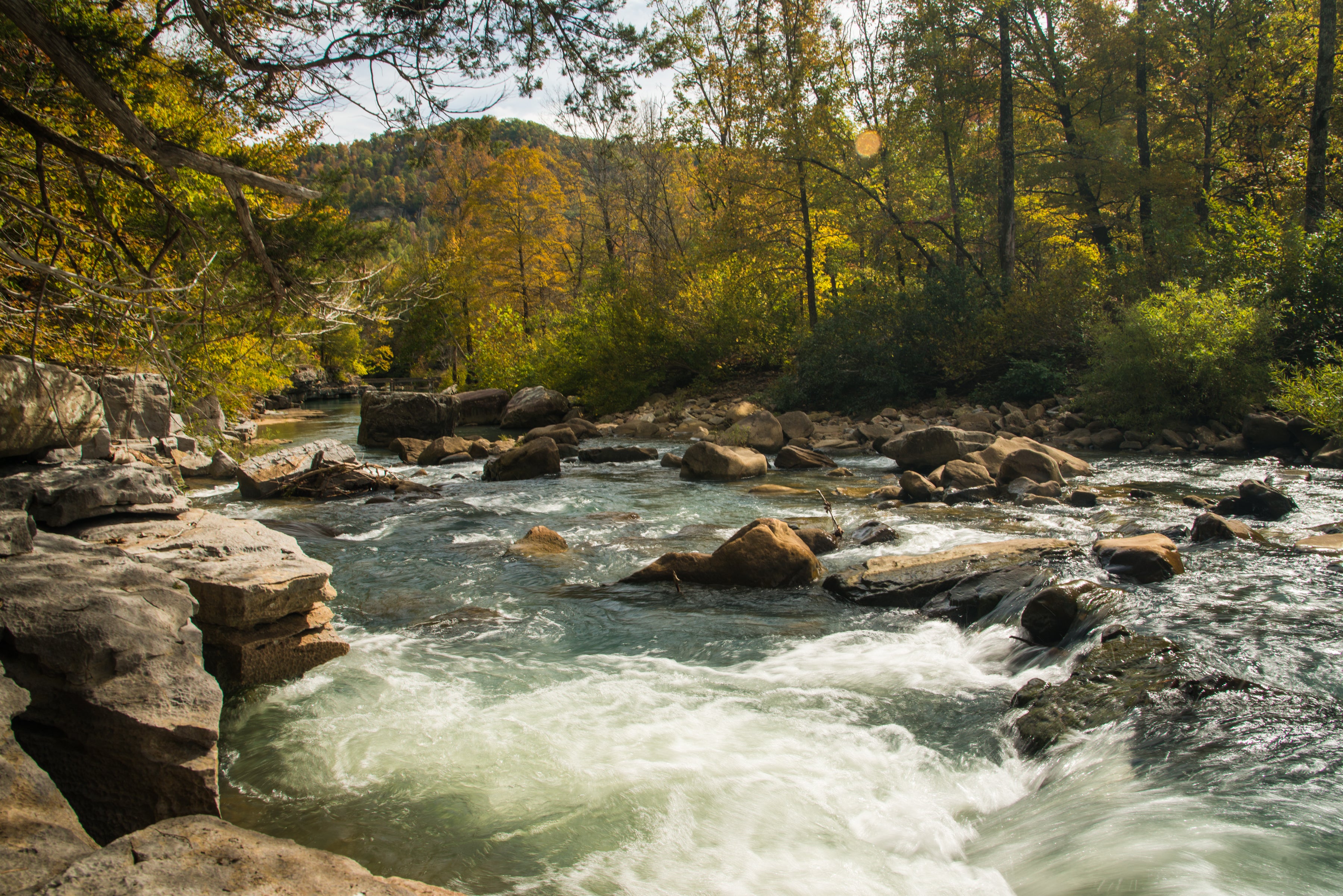 Richland Creek Ben Hur.