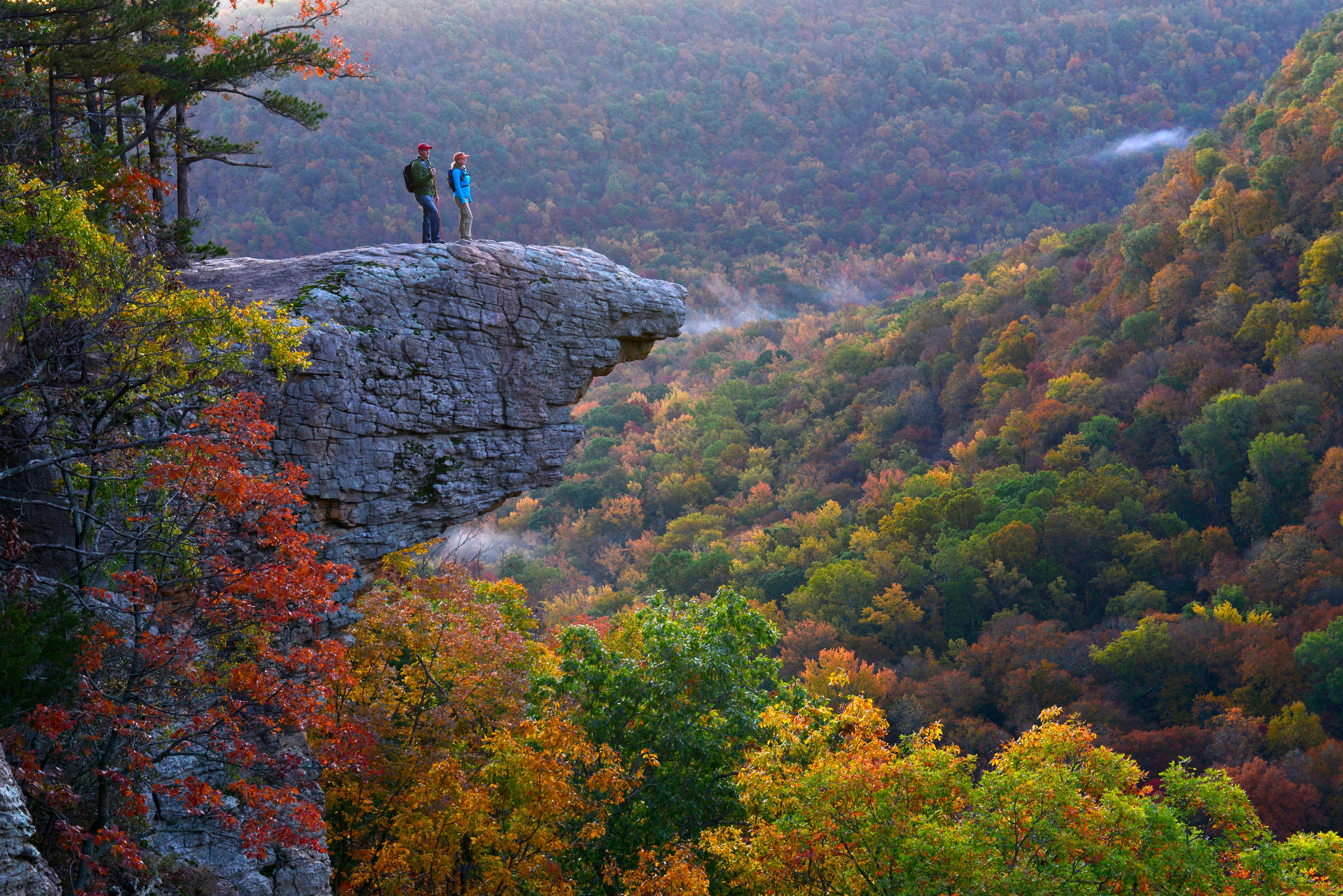 Whitaker Point