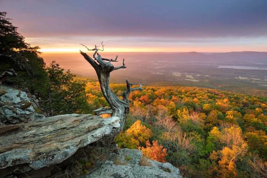 view from Mount Magazine