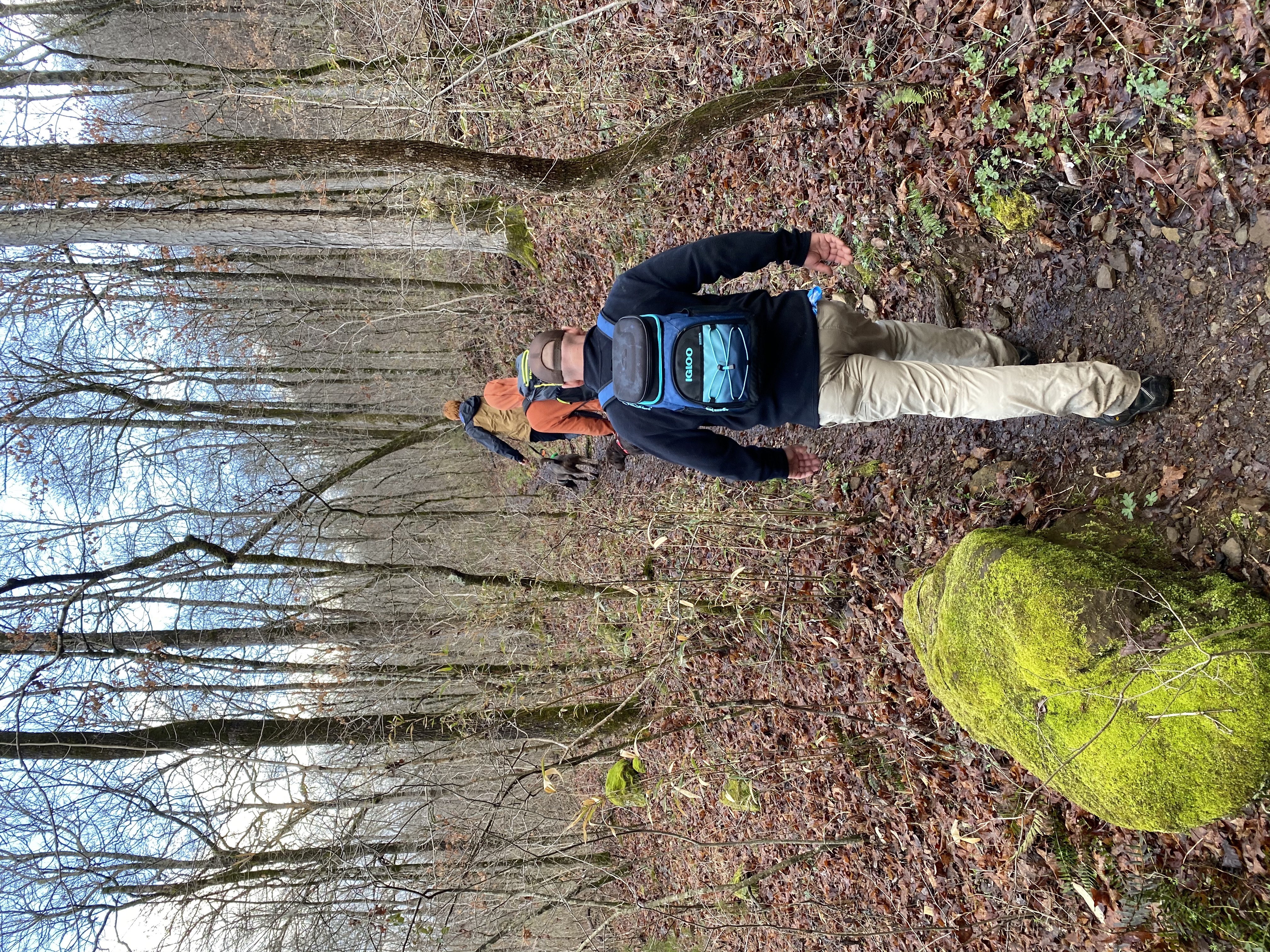 Richland Creek Wilderness Areas