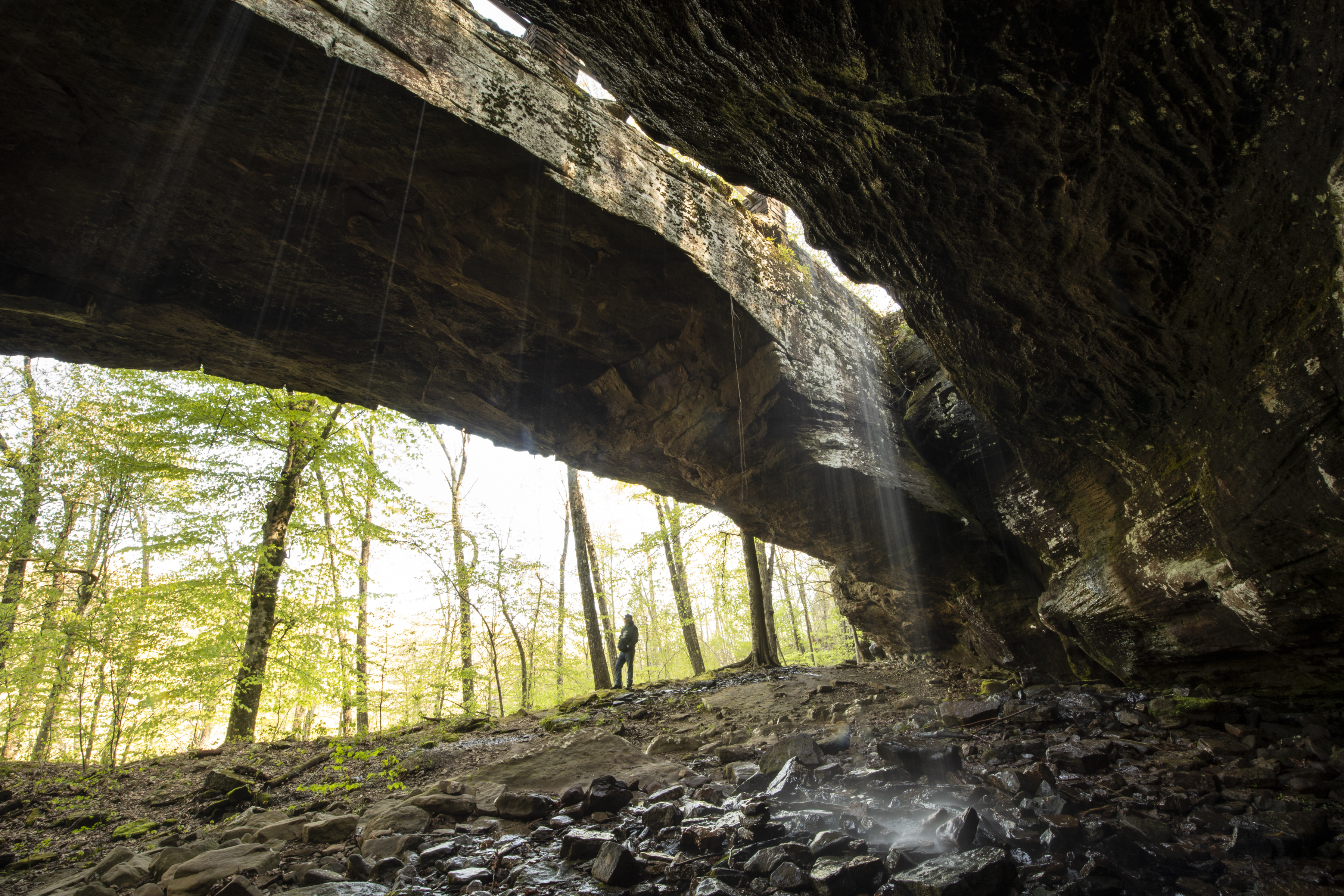 Alum Cover Natural Bridge