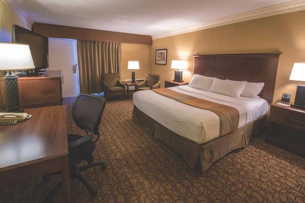 A hotel room. A king-size bed fills the majority of the room. A conversation area with two chairs, a side table and a lamp sits against a wall. Opposite the bed is a desk and chair along with a chest of drawers with a television. 