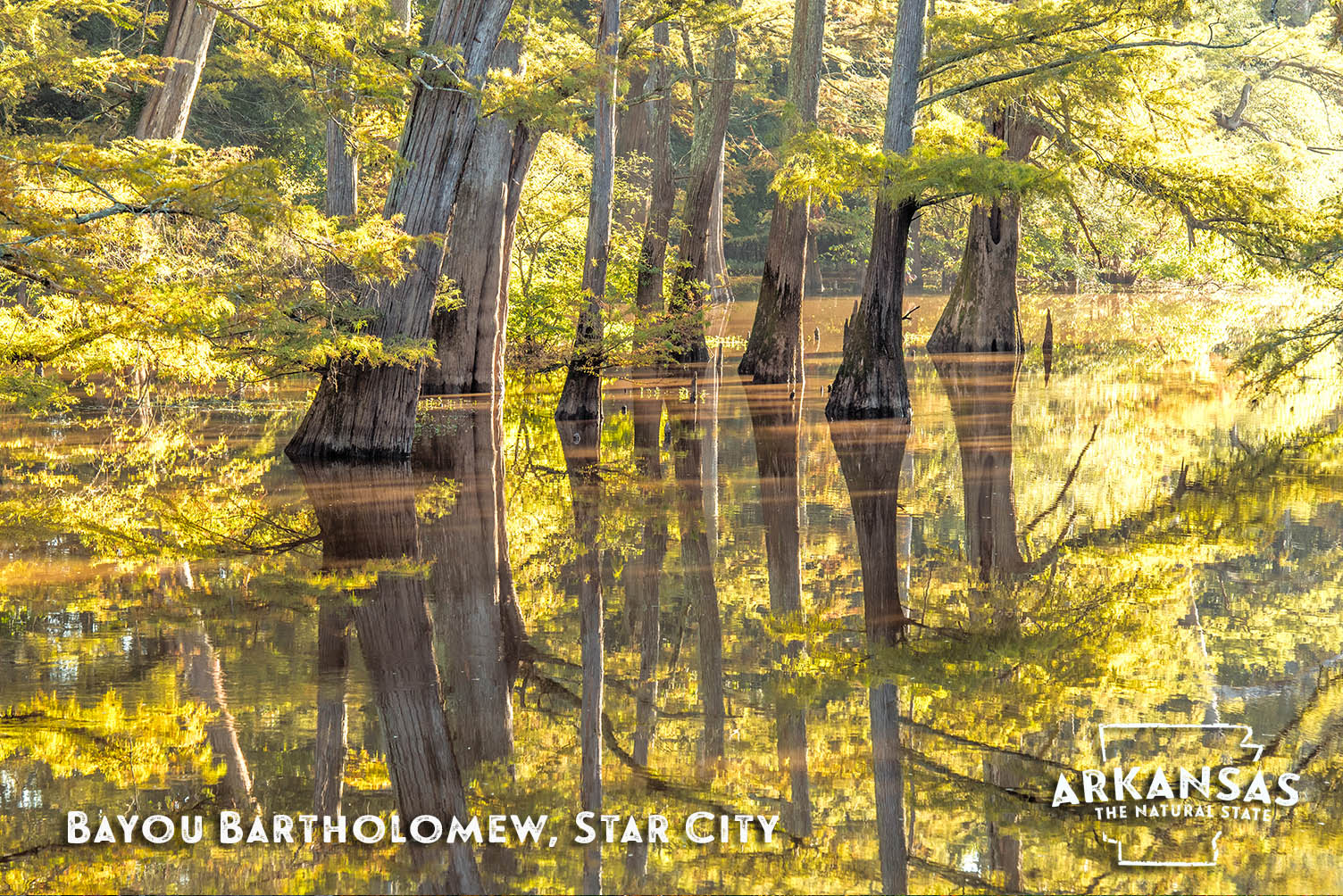 Bayou Bartholomew, Star City