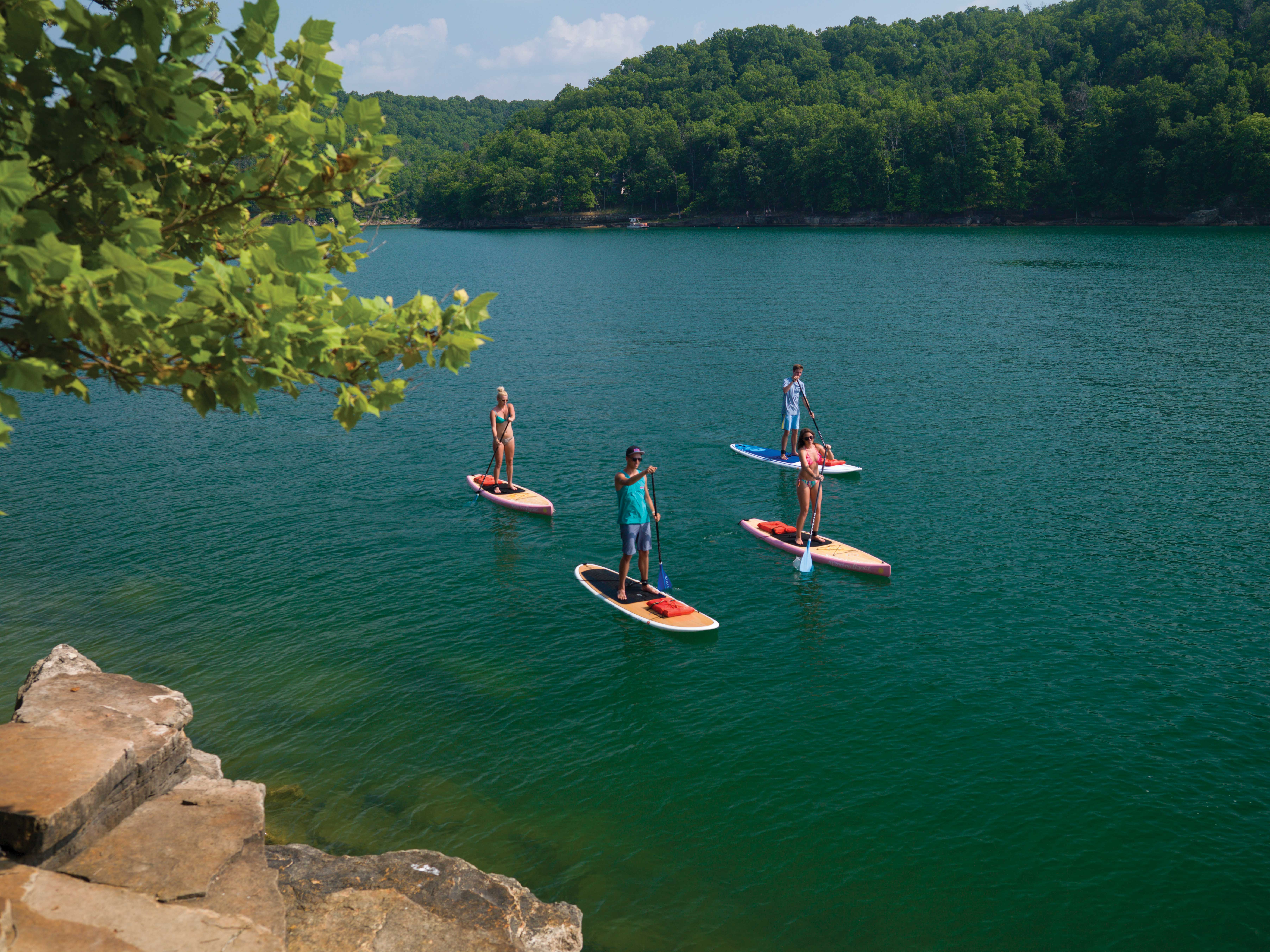 Group paddleboarding on Beaver Lake