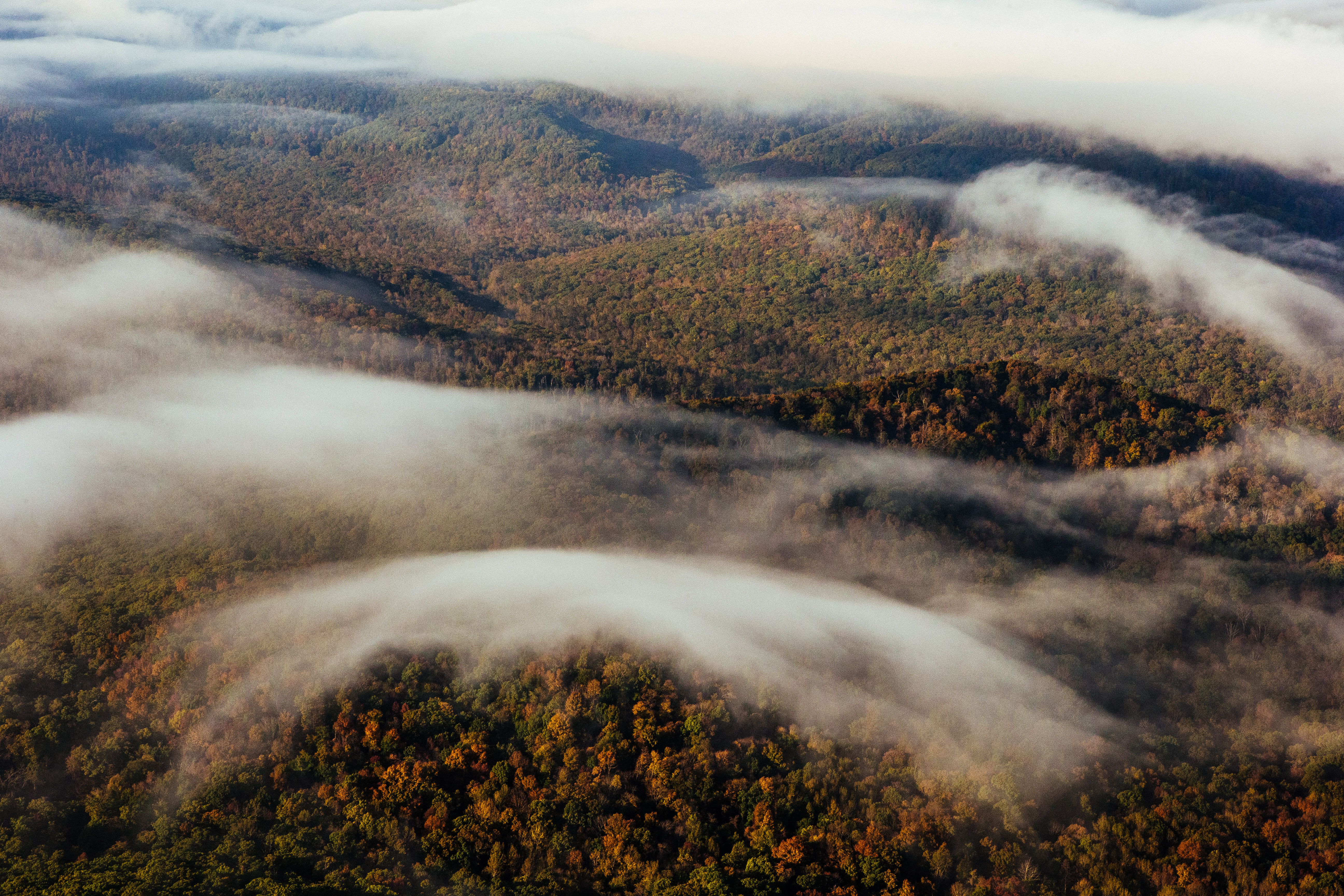 Backcountry aviation in Arkansas (photos by Carl Zoch)