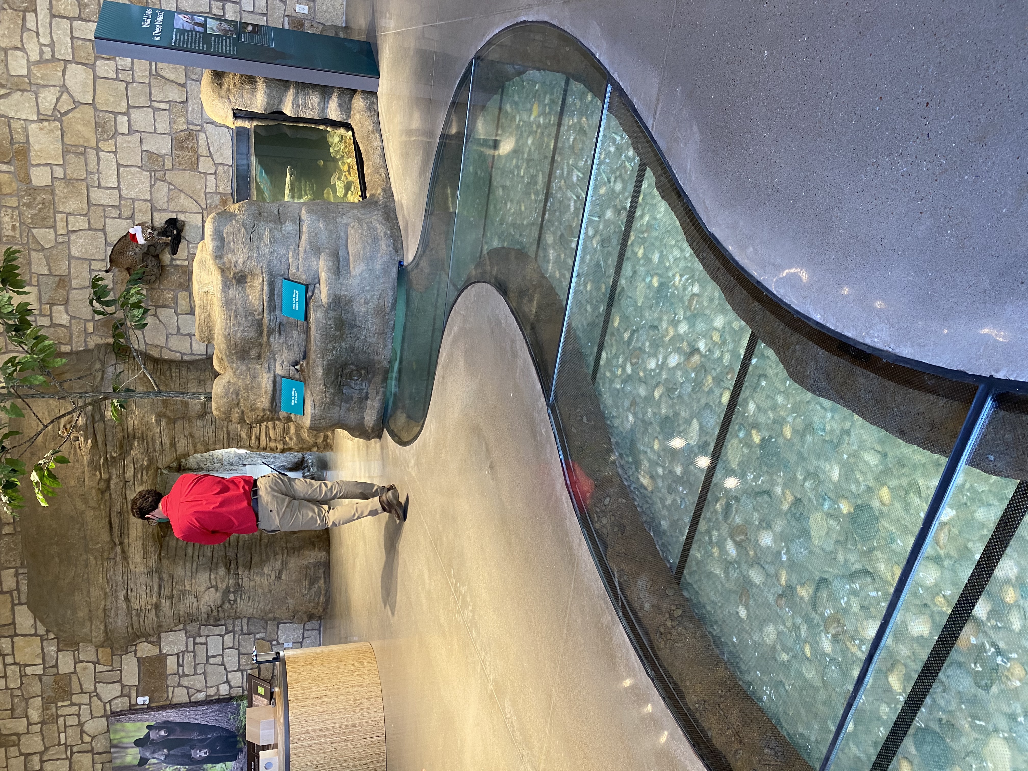 A virtual creek at the nature center
