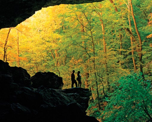 Cob Cave