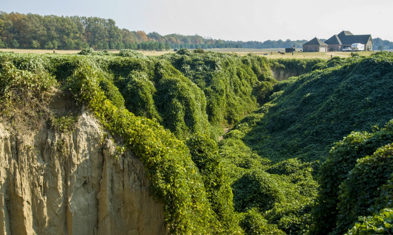 Crowley's Ridge near Jonesboro