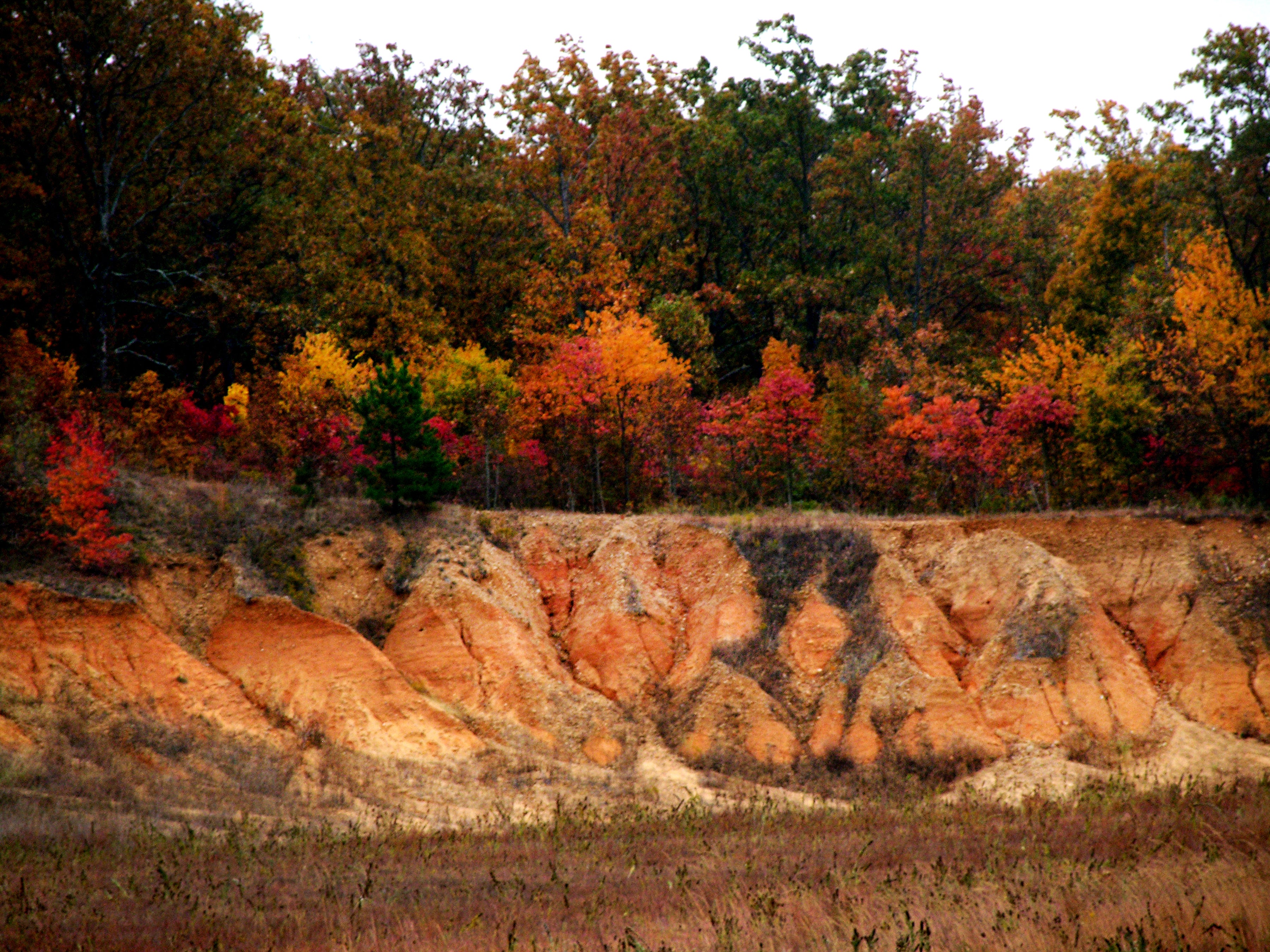 Crowley's Ridge State Park
