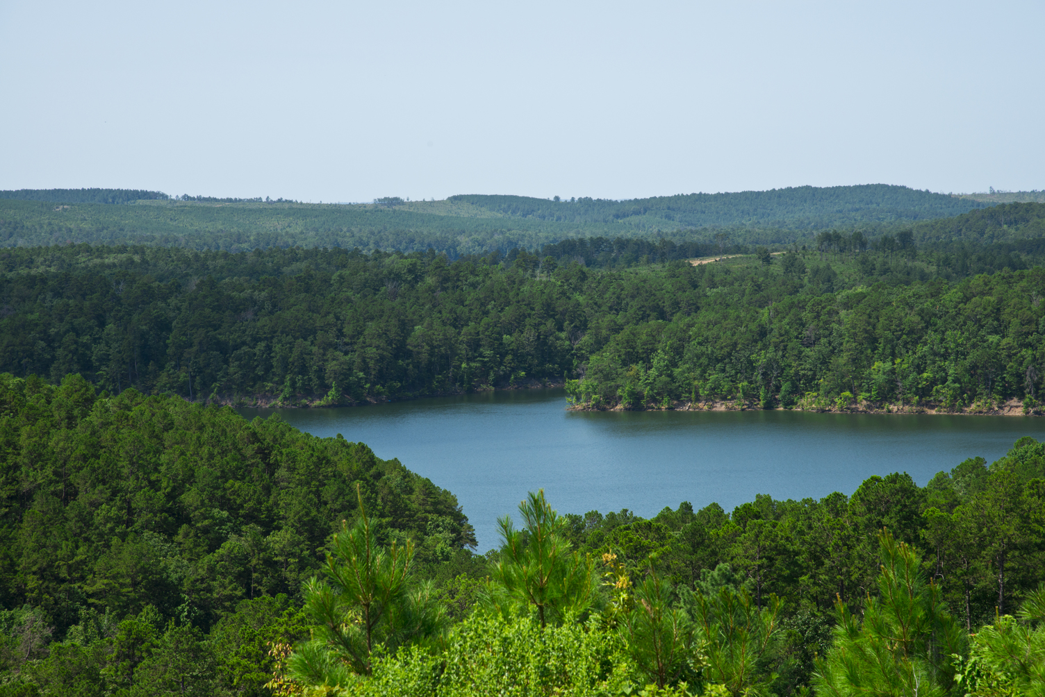 Daisy State Park