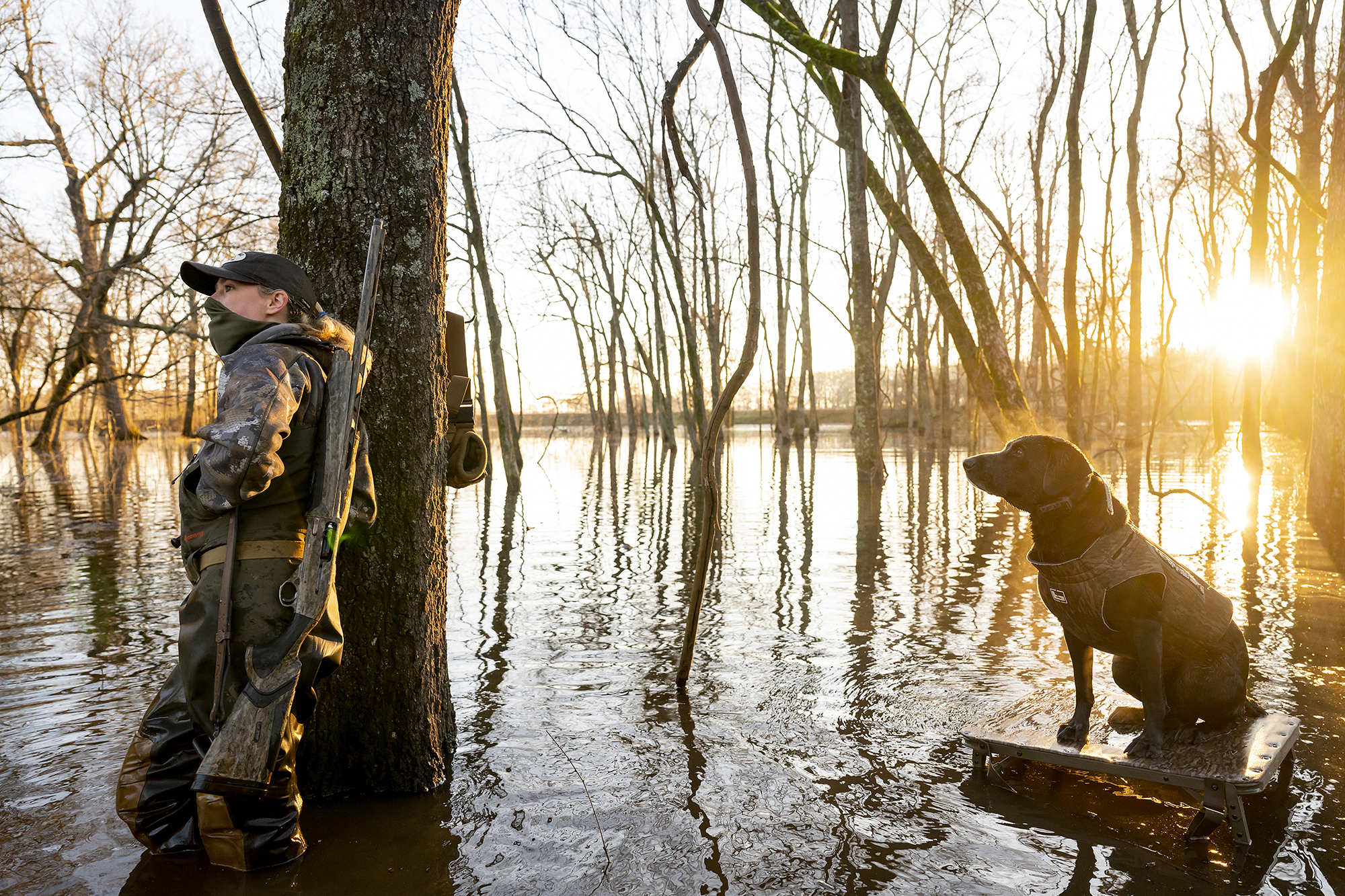 Duck Hunting at Stuttgart
