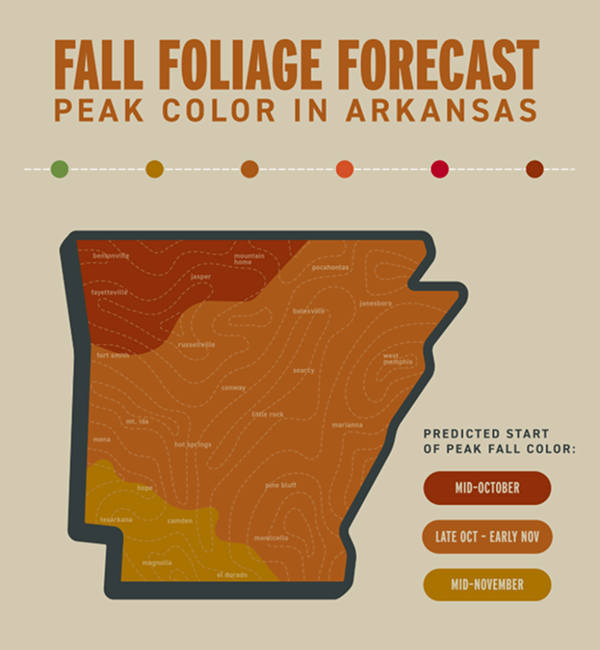 fall foliage forecast map