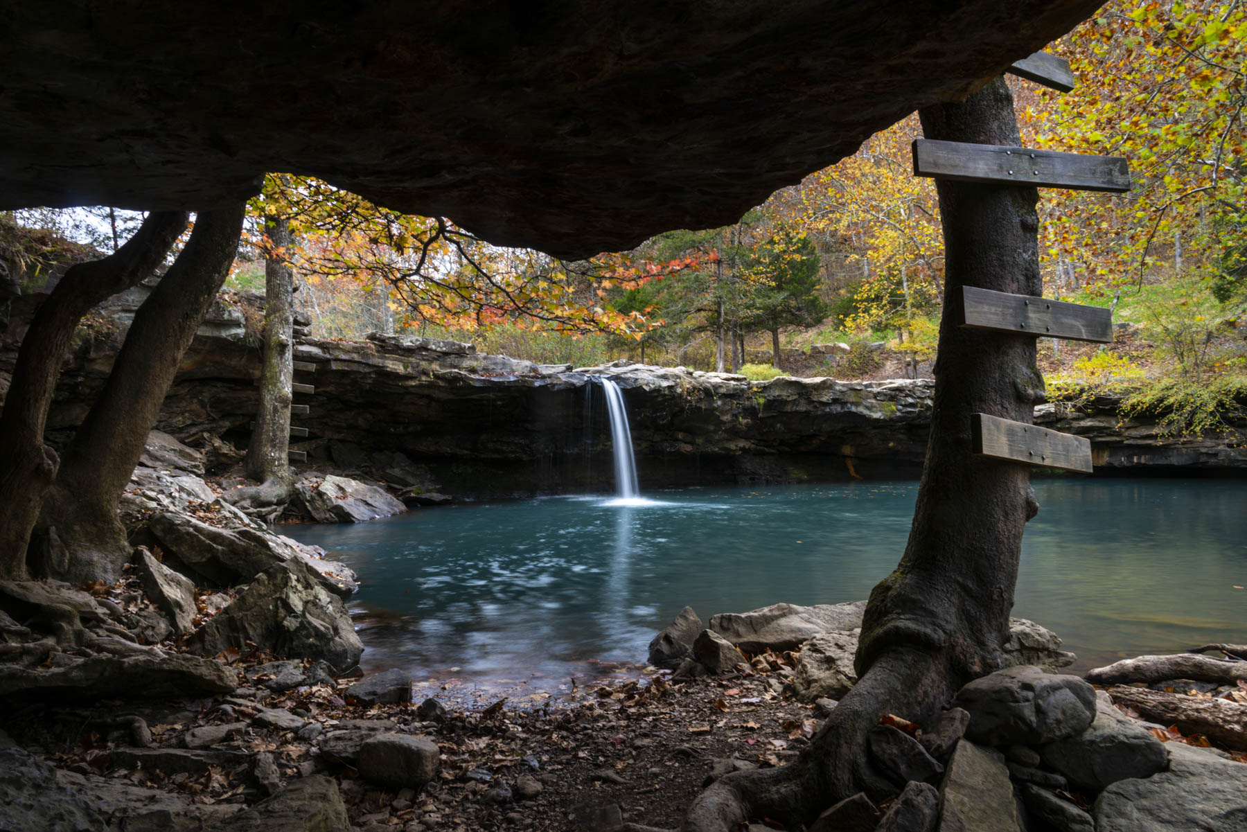 Ladder to get to the Falling Water Falls in the Richland Creek Wilderness Area