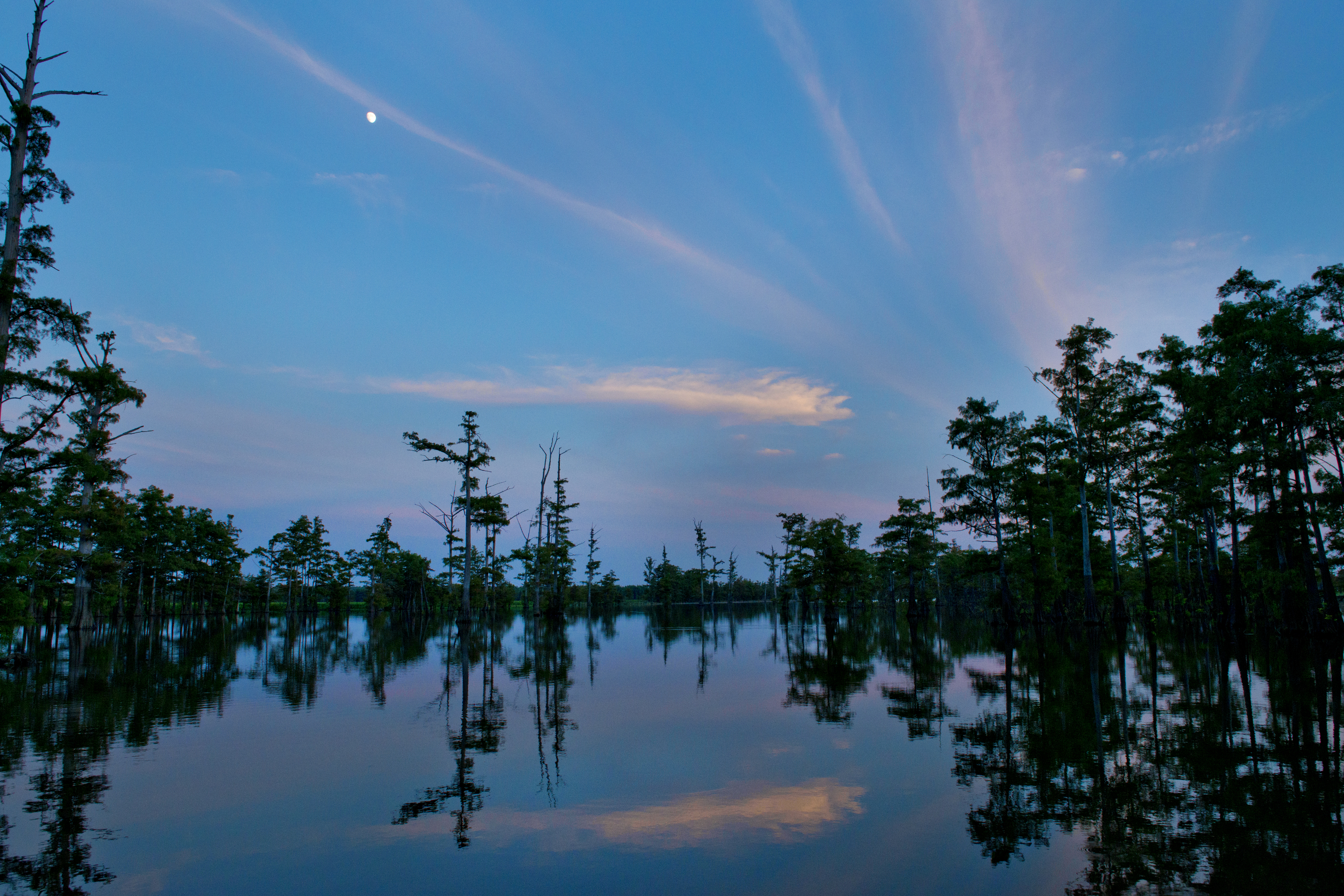 Felsenthal National Wildlife Refuge