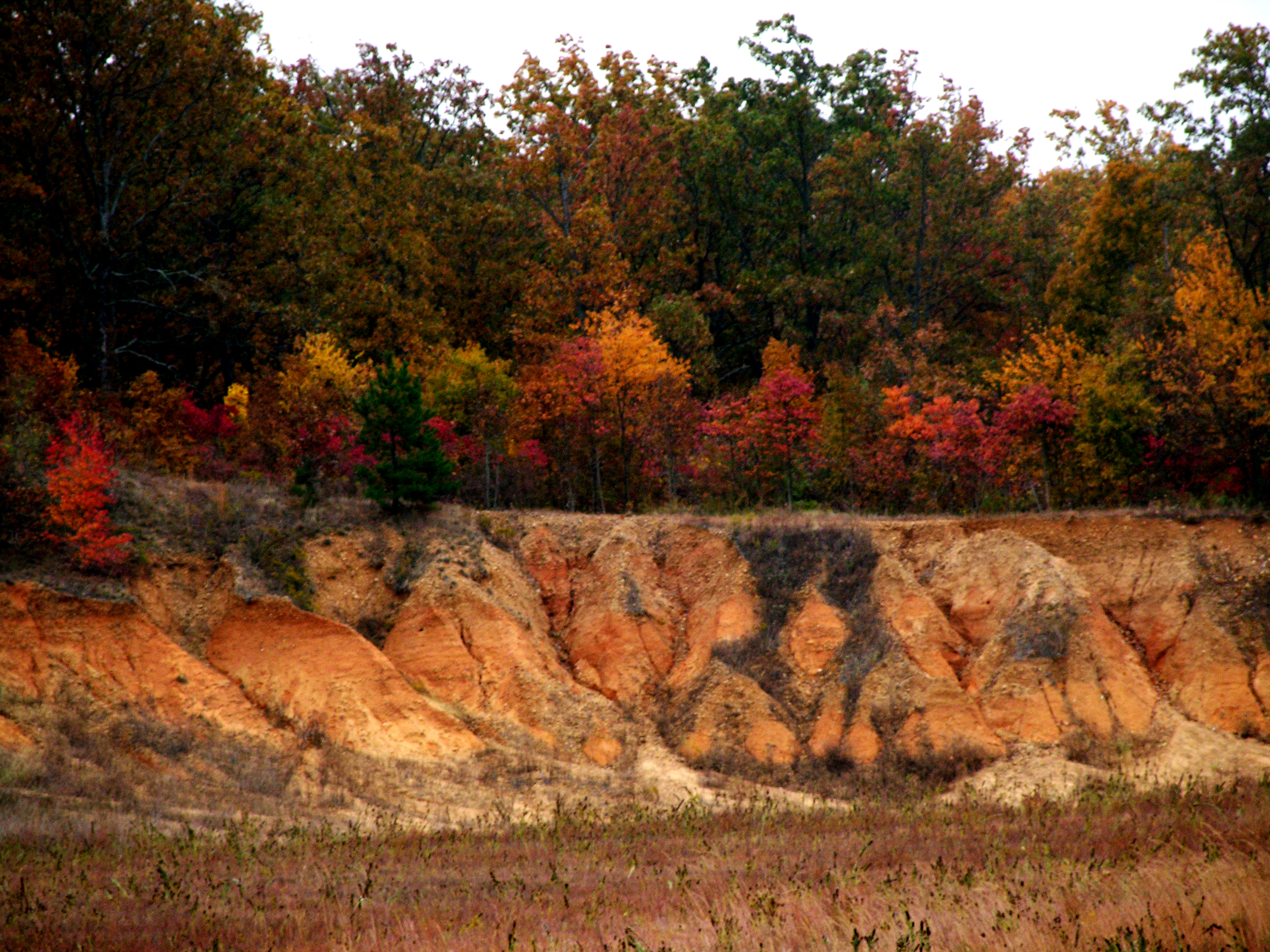 Crowley's Ridge