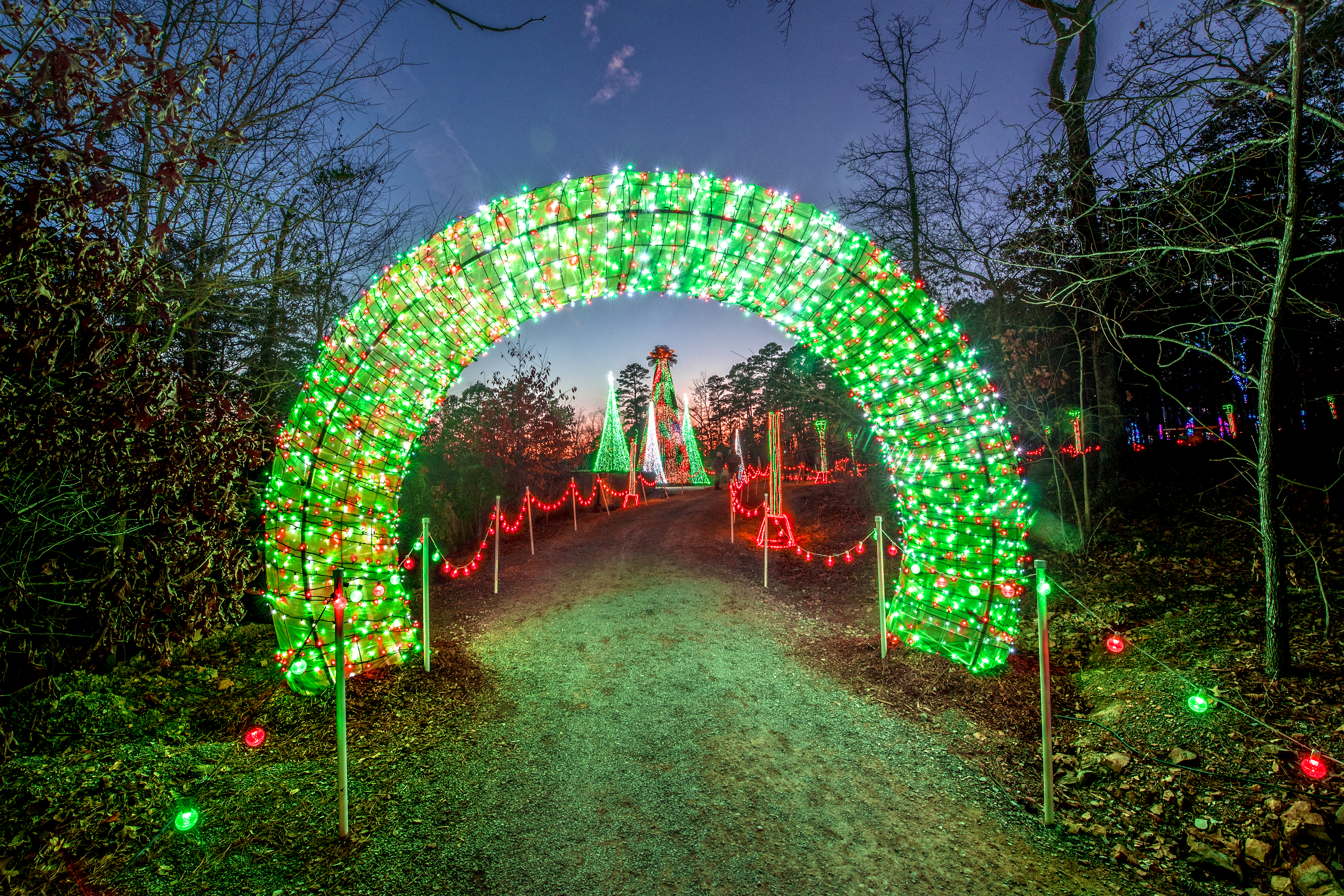 Garvan Woodland Gardens Trail of Holiday Lights