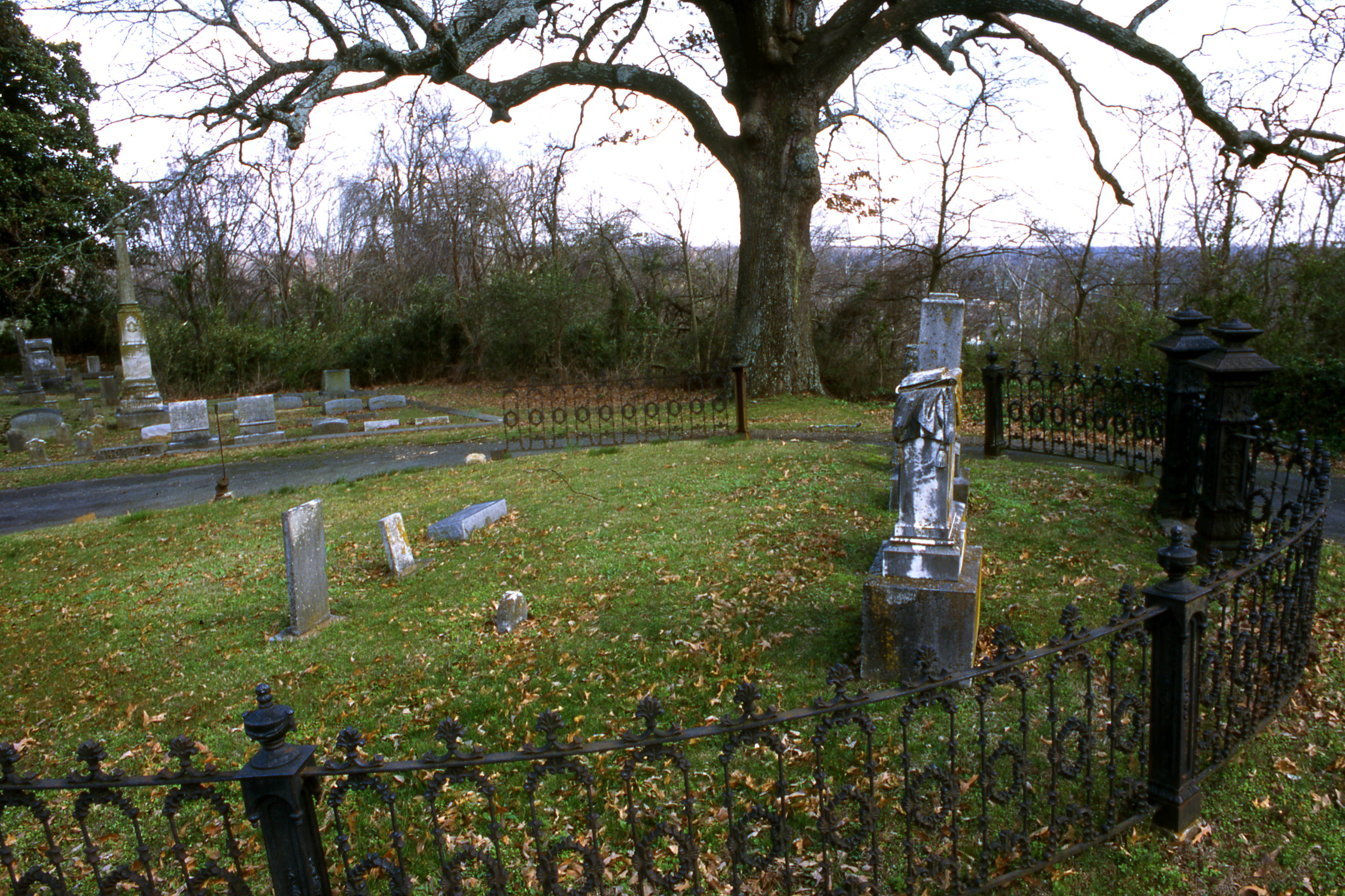Confederate Cemetary