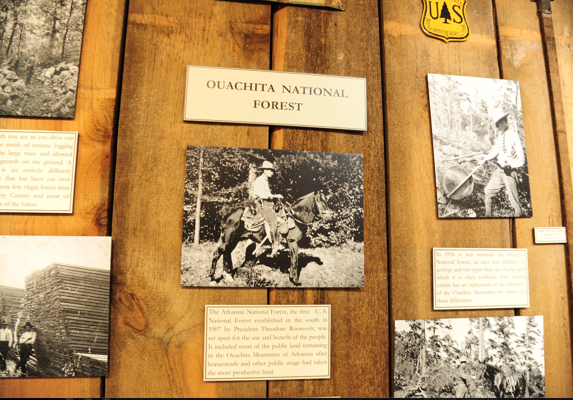 Inside the museum 