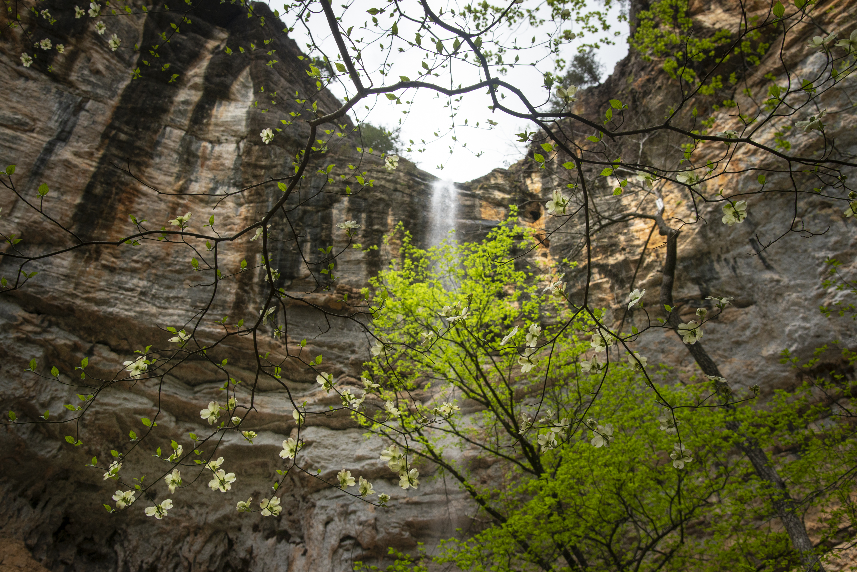 Hemmed-In Hollow Falls