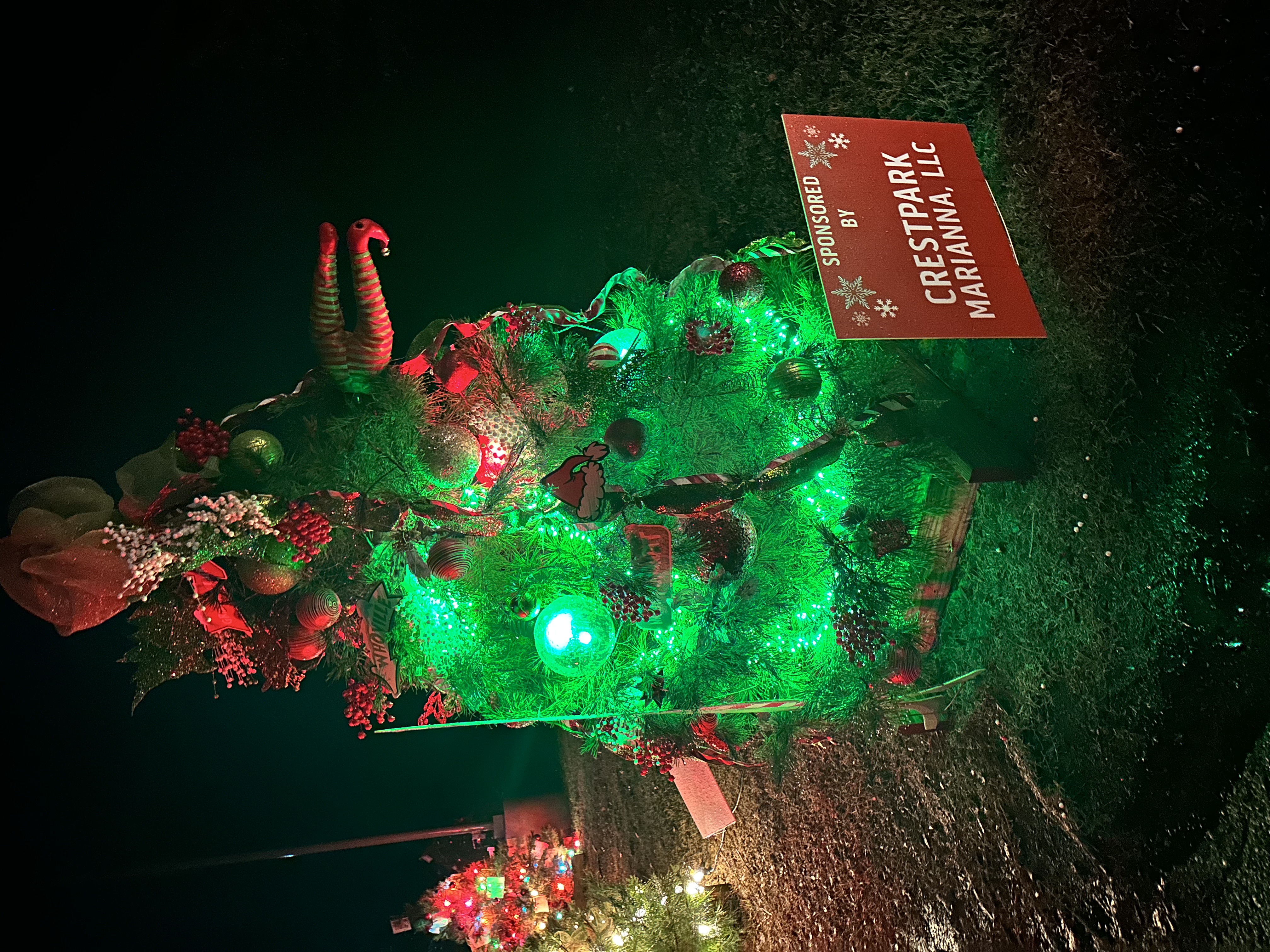 One of the beautifully-decorated trees at Mississippi River State Park's Enchanted Forest.