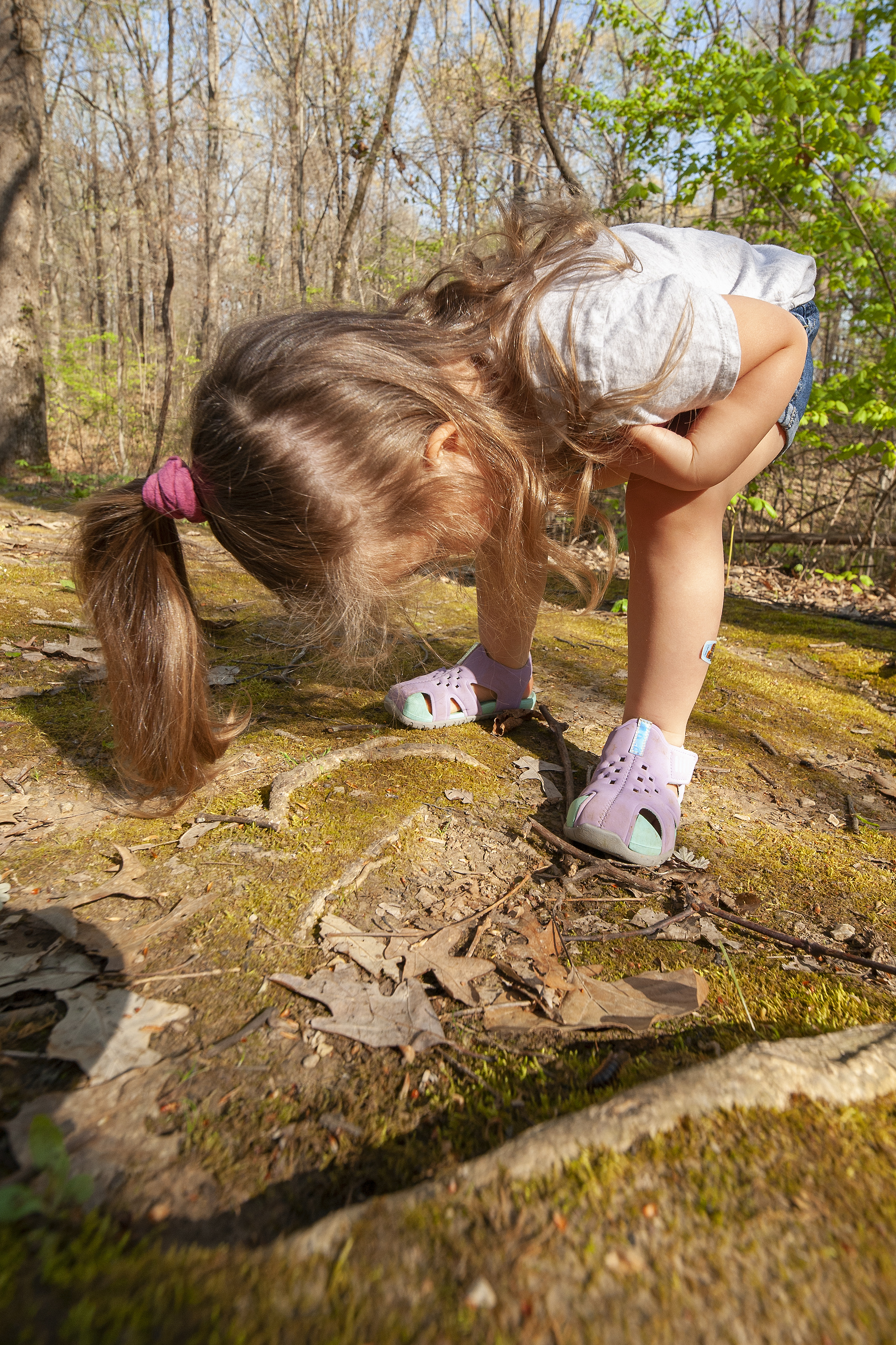 Get "up close and personal" with nature at Lake Frierson State Park.