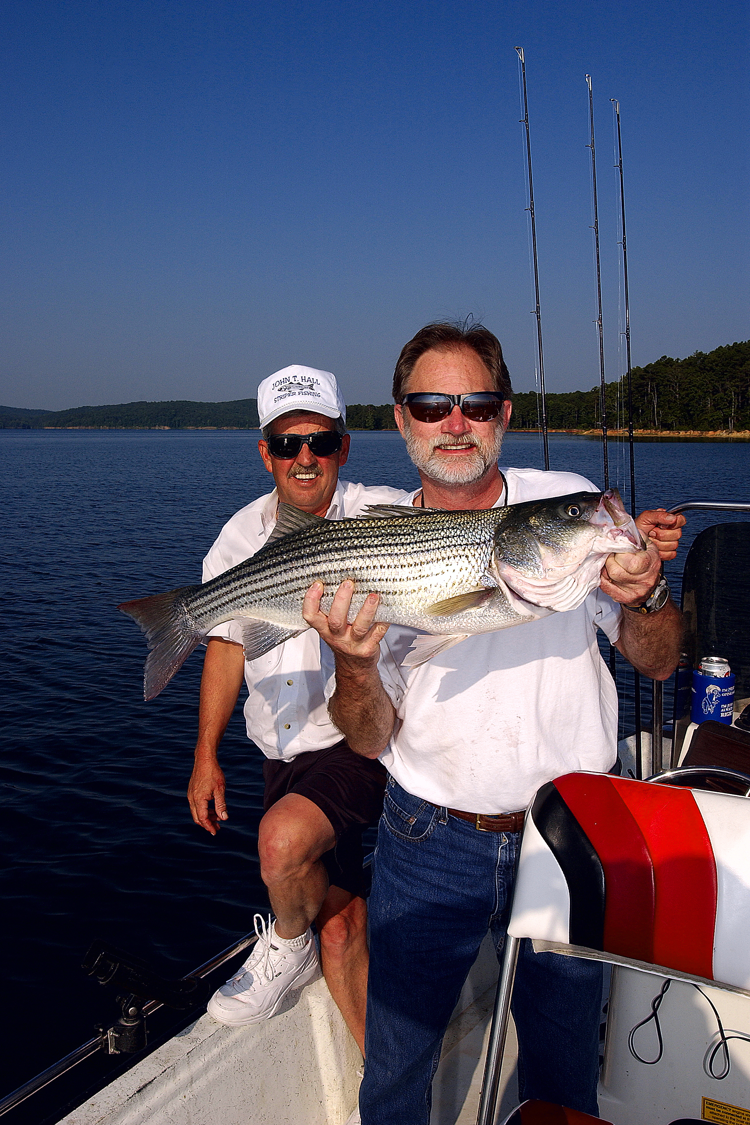 An angler catches a big striper on Lake Ouachita
