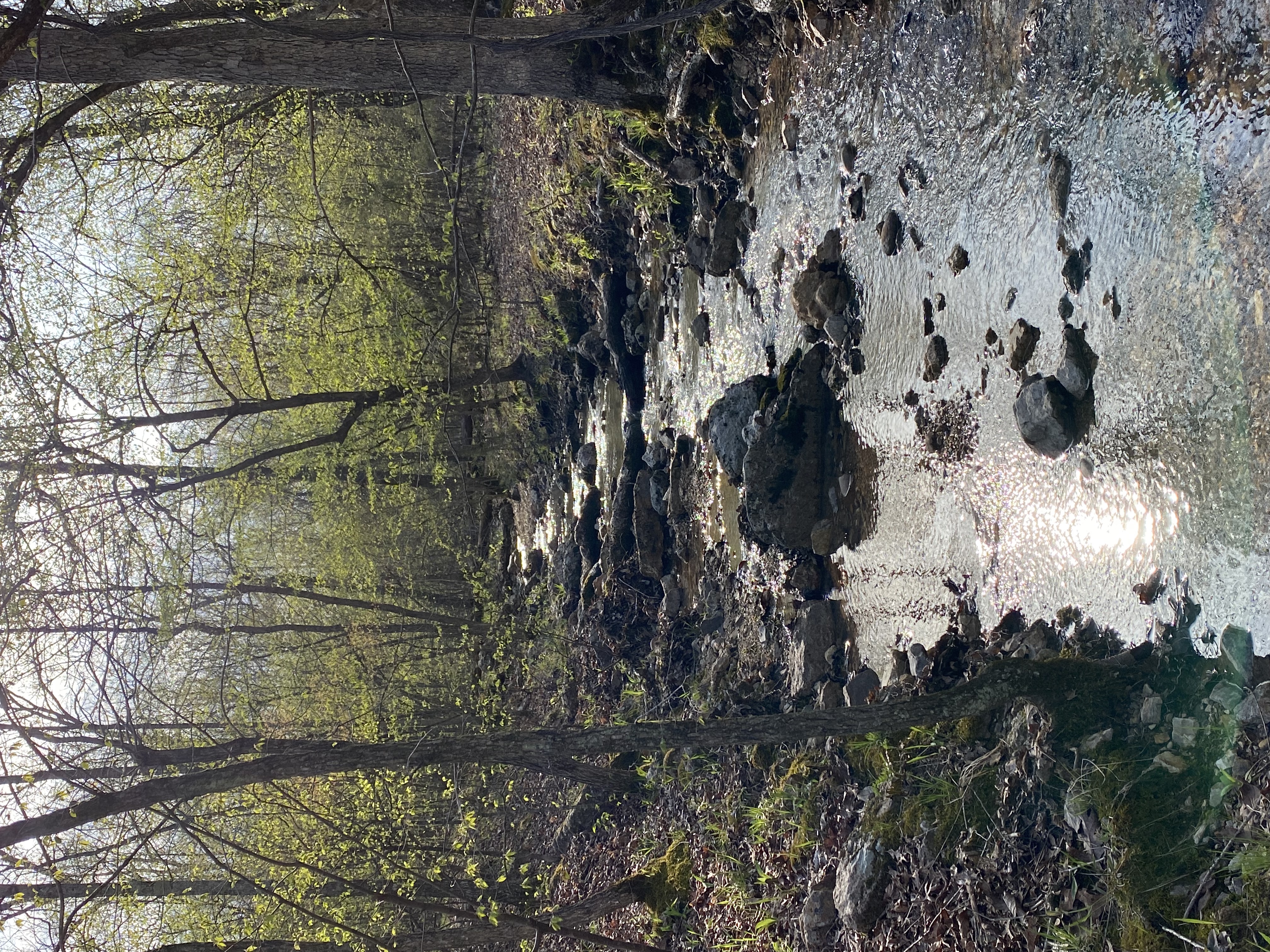 A creek on the property of Bertucci's Country Cabin