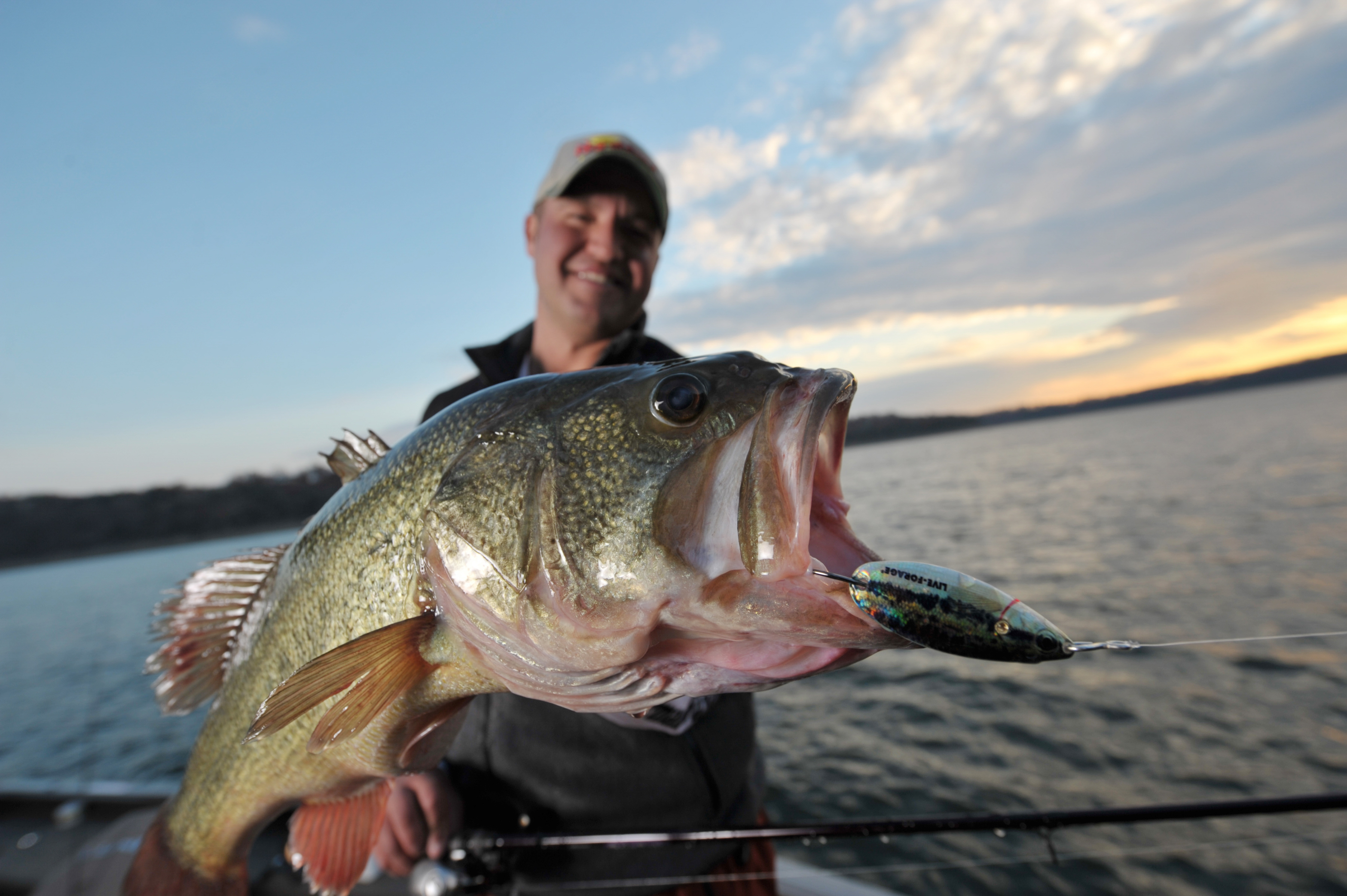 Fishing for striper bass and hybrid striper in Arkansas