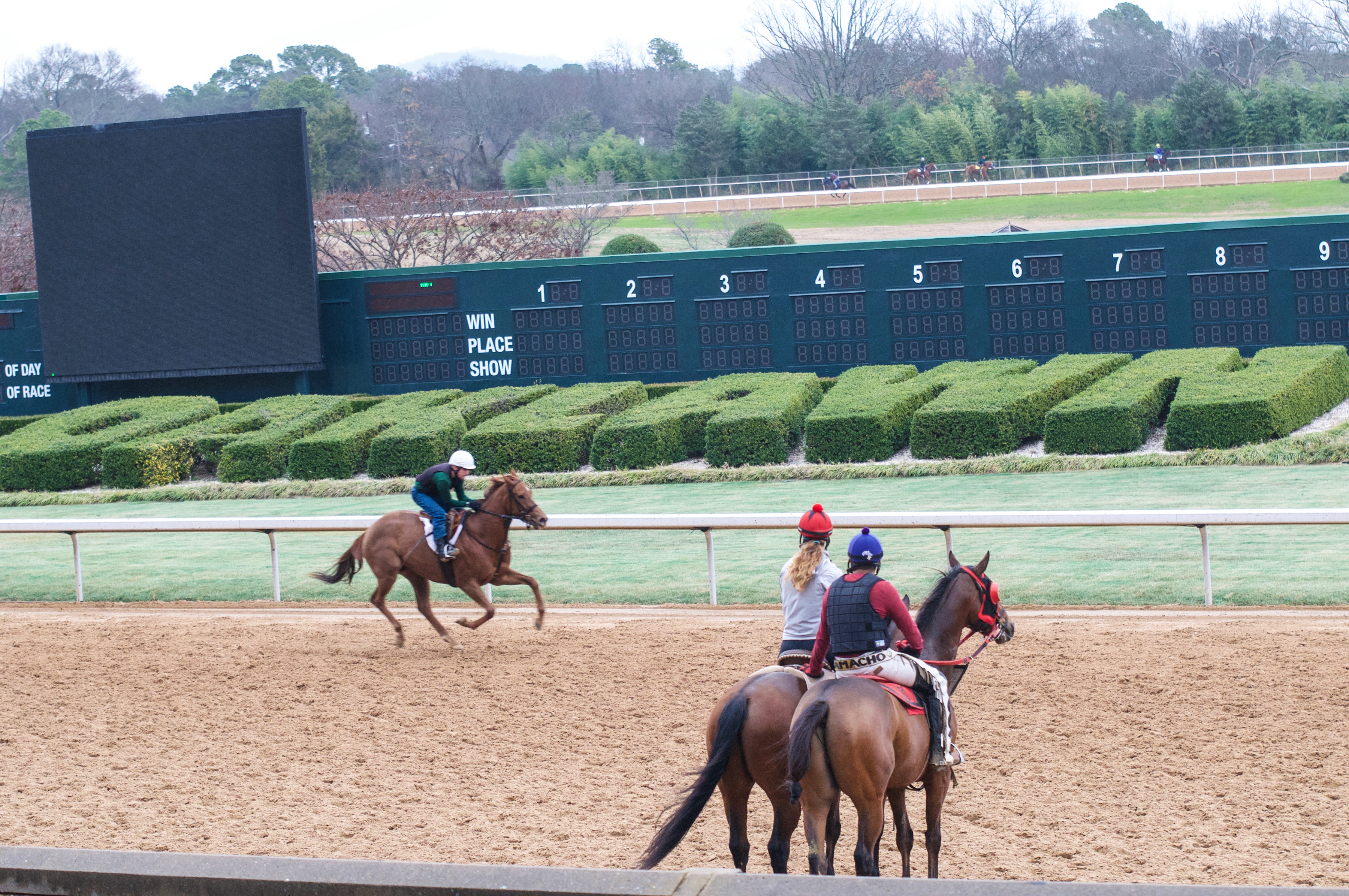 Oaklawn Racing and Gaming