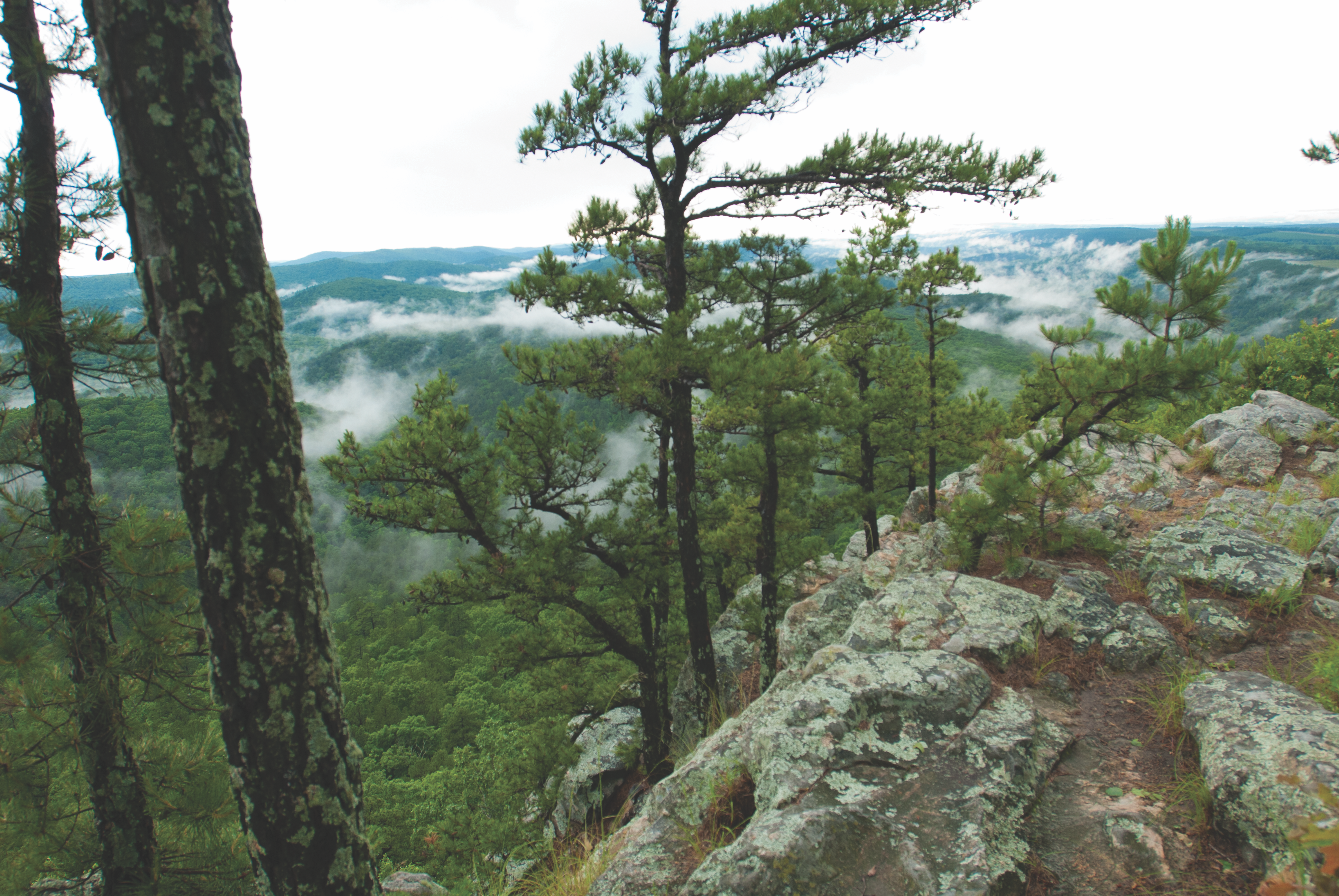 Ouachita Mountains